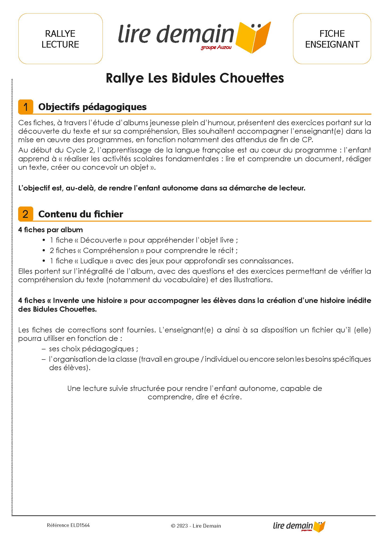 RALLYE LECTURE - LES BIDULES CHOUETTES (FICHIER SEUL)