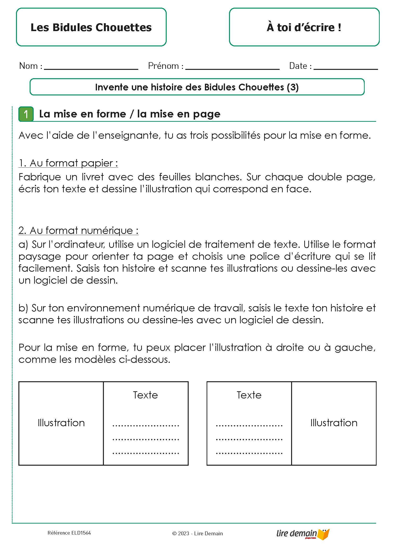 RALLYE LECTURE - LES BIDULES CHOUETTES (FICHIER SEUL)