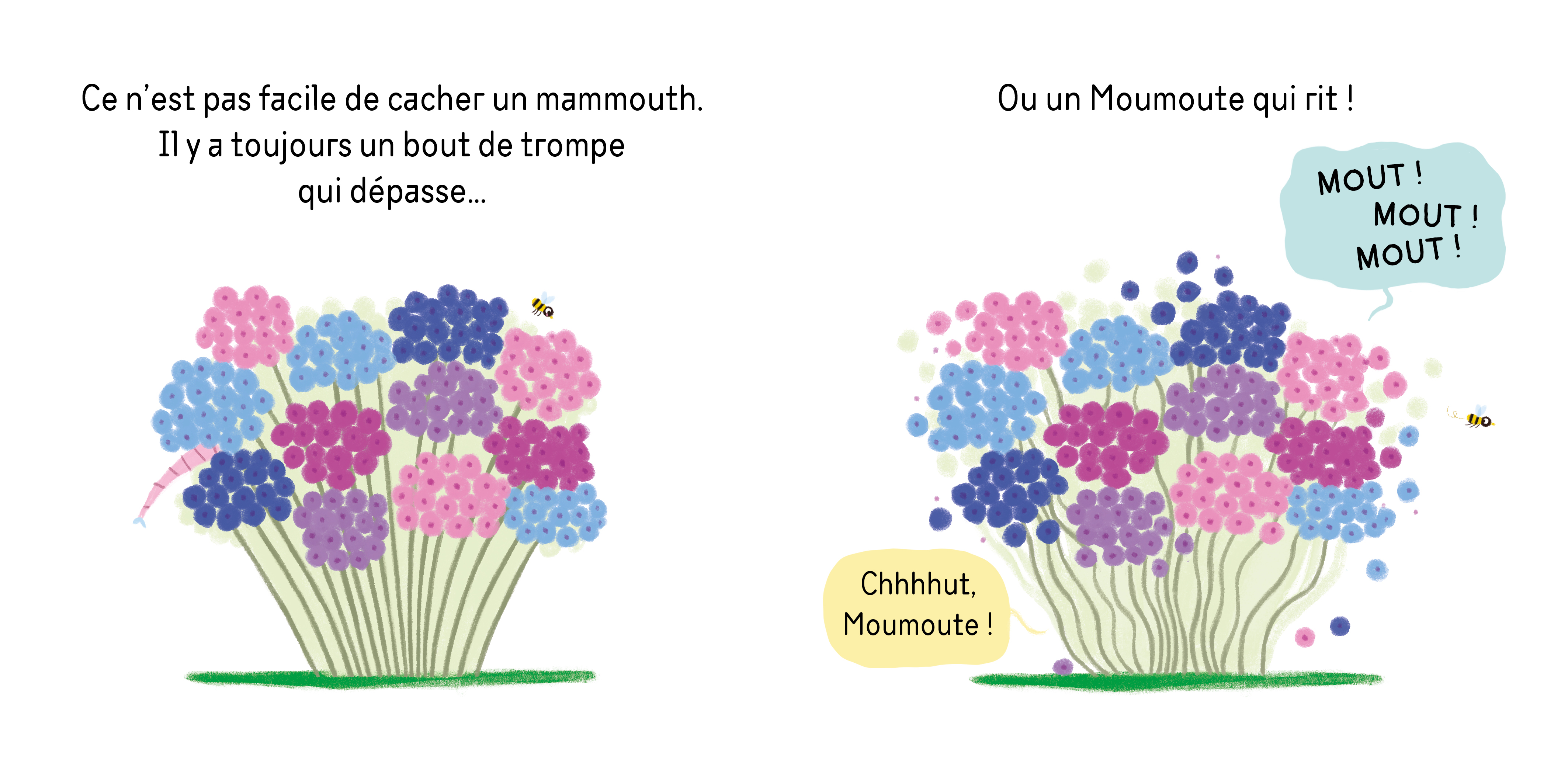 CACHE-CACHE MOUMOUTE