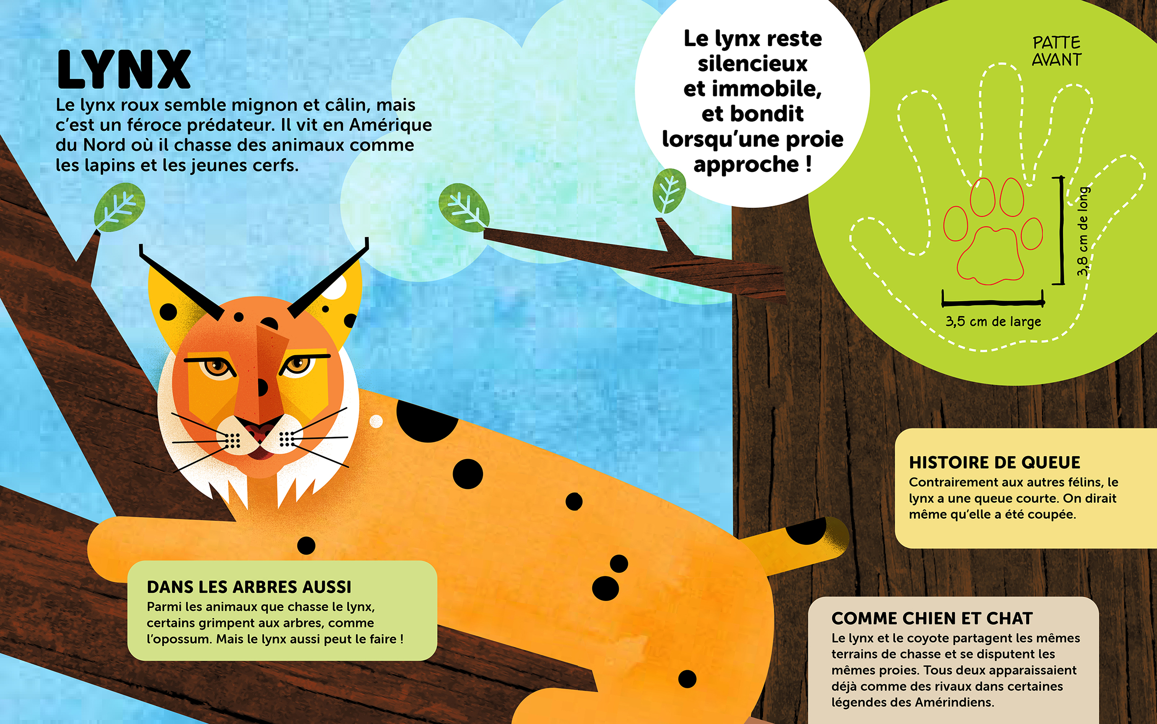 DONNE-MOI TA PATTE ! COMPARE LA PAUME DE TA MAIN AUX EMPREINTES DES ANIMAUX !