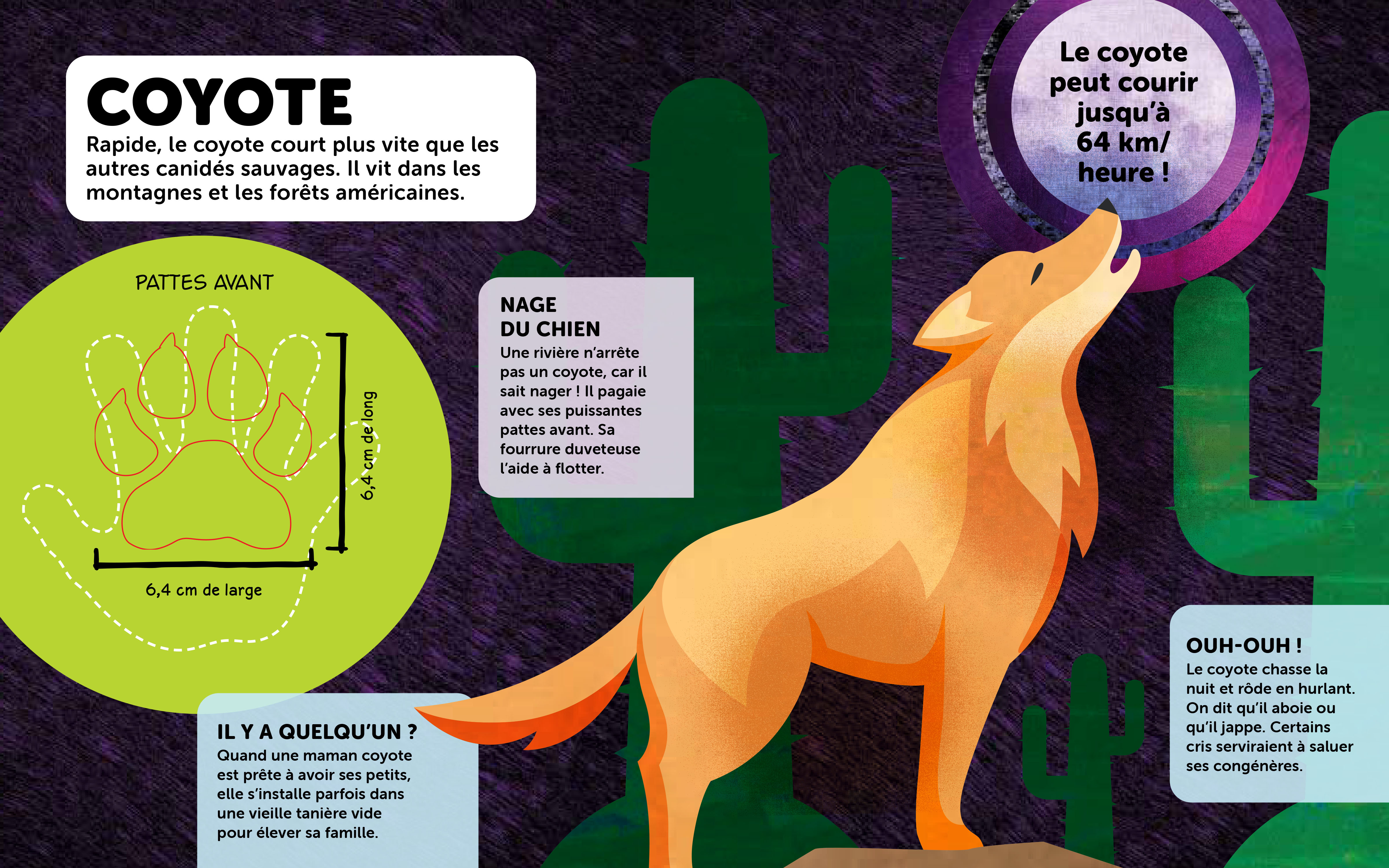 DONNE-MOI TA PATTE ! COMPARE LA PAUME DE TA MAIN AUX EMPREINTES DES ANIMAUX !