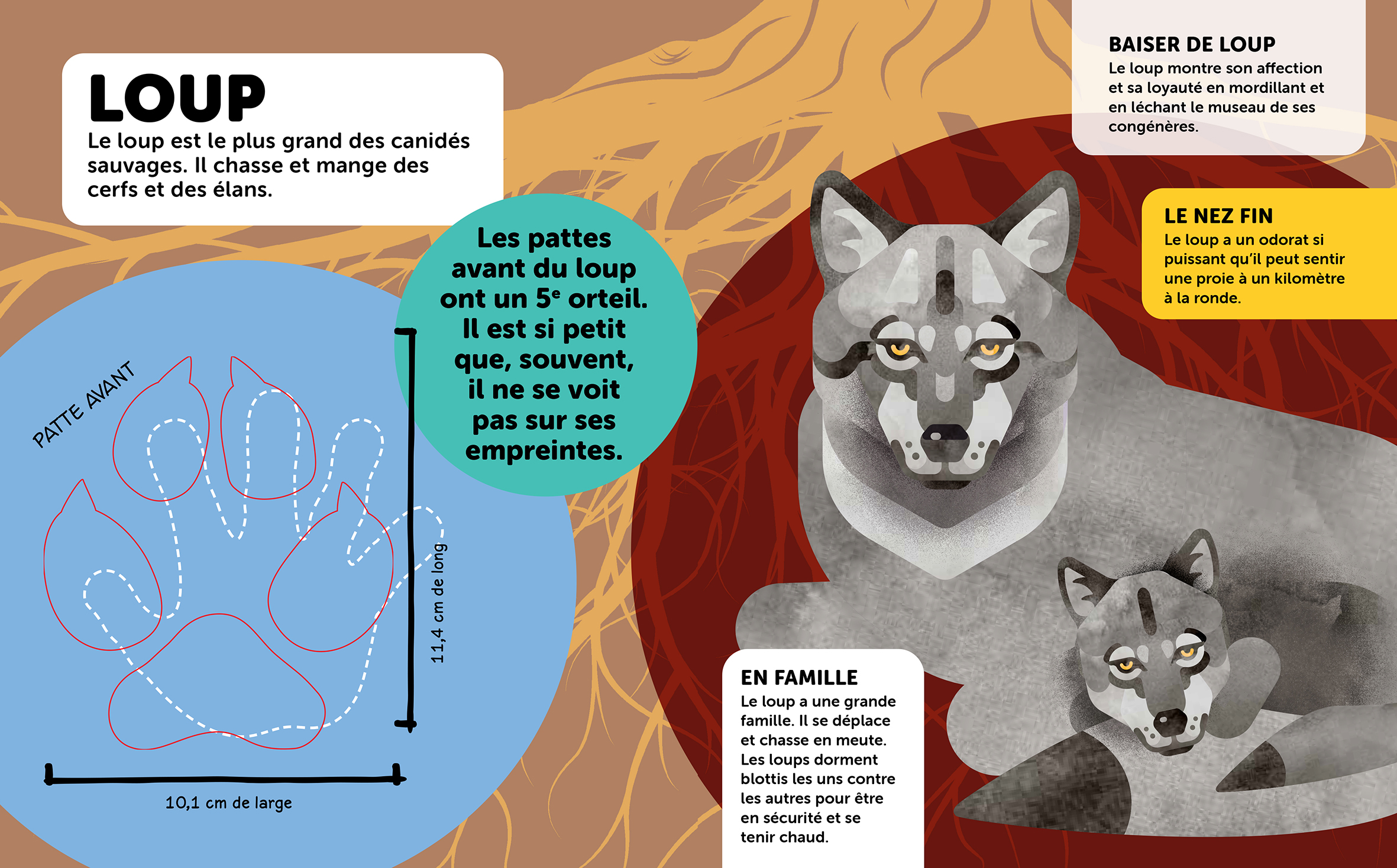 DONNE-MOI TA PATTE ! COMPARE LA PAUME DE TA MAIN AUX EMPREINTES DES ANIMAUX !