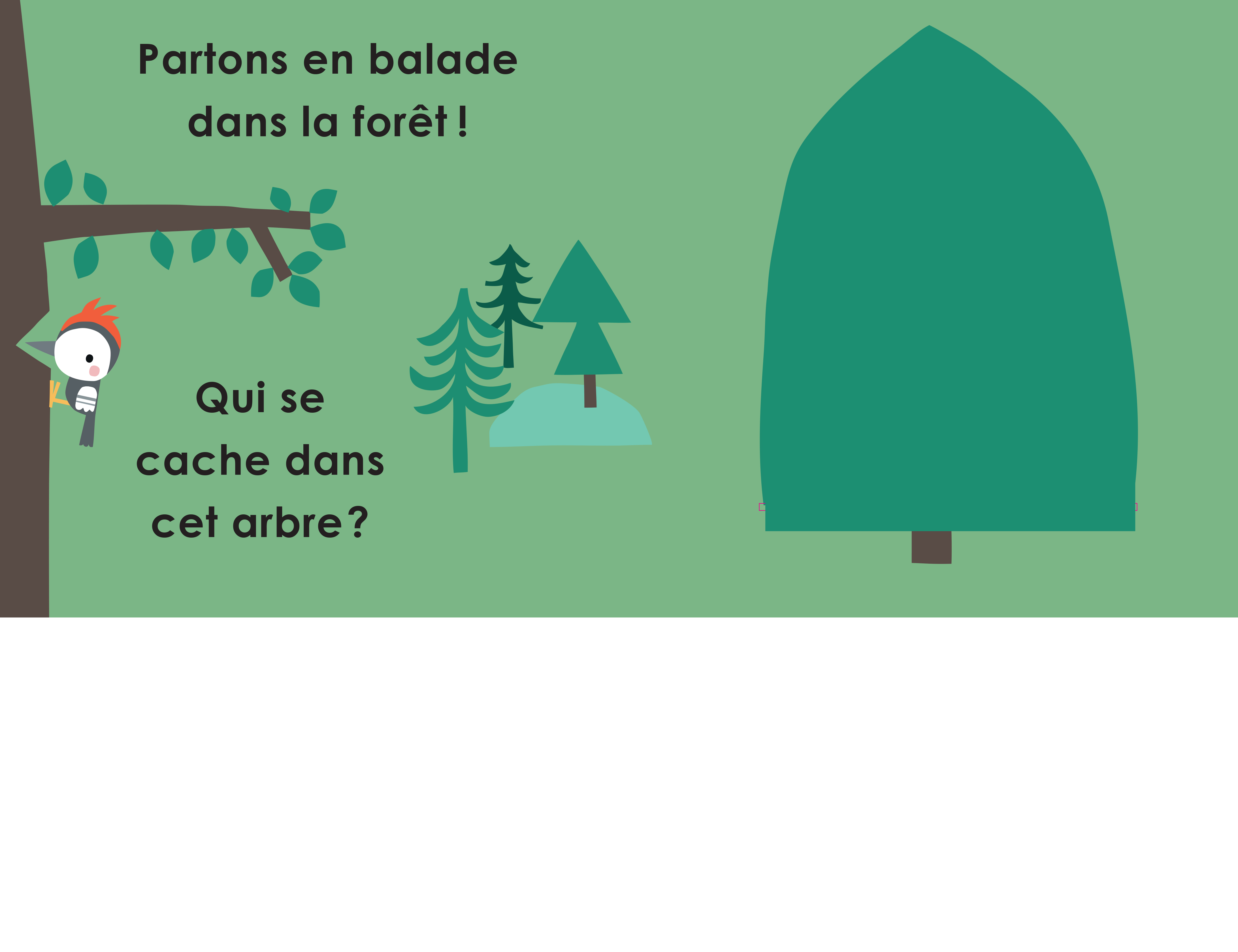 CACHE-CACHE DANS LA FORET 