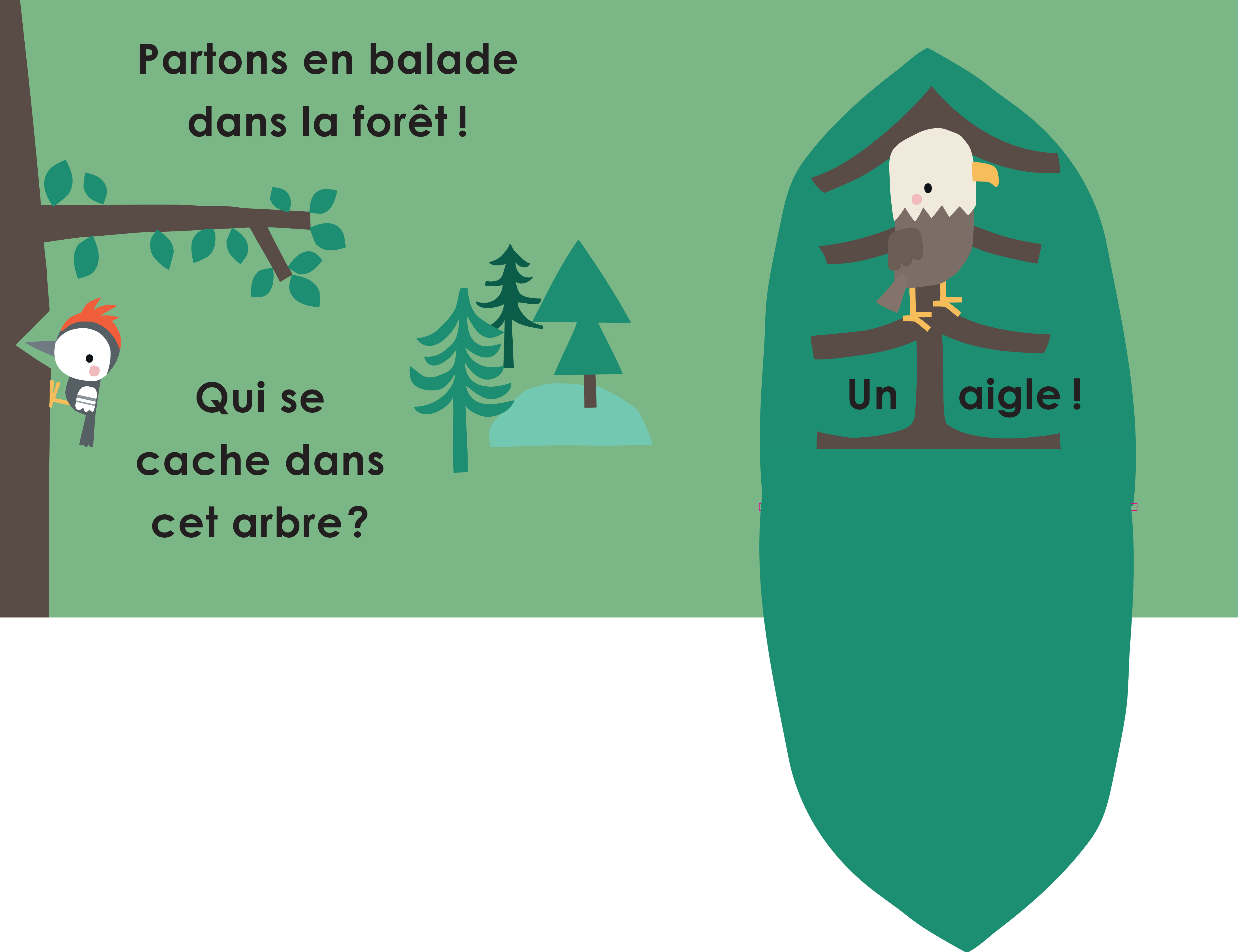 CACHE-CACHE DANS LA FORET 