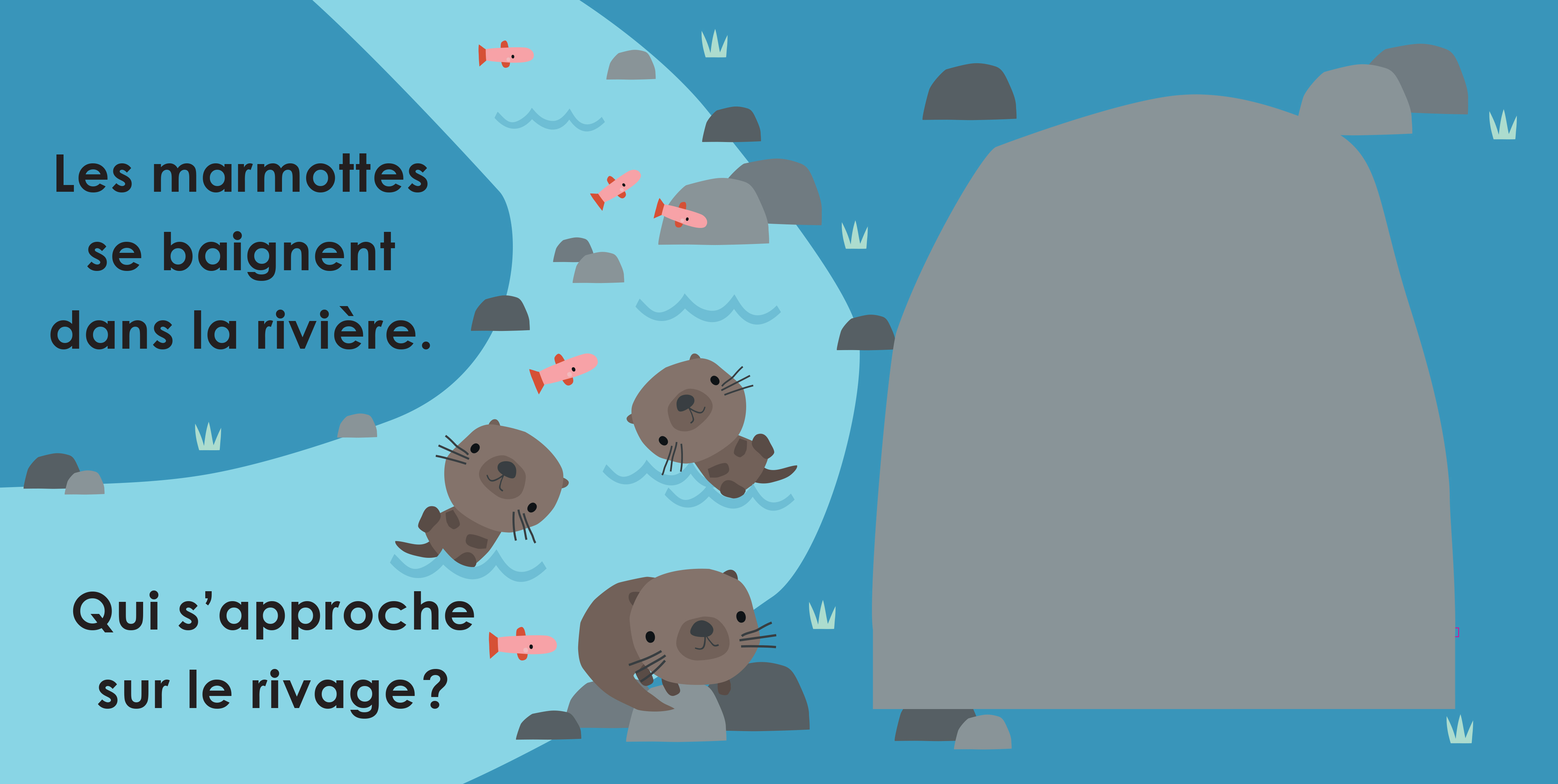 CACHE-CACHE DANS LA FORET 