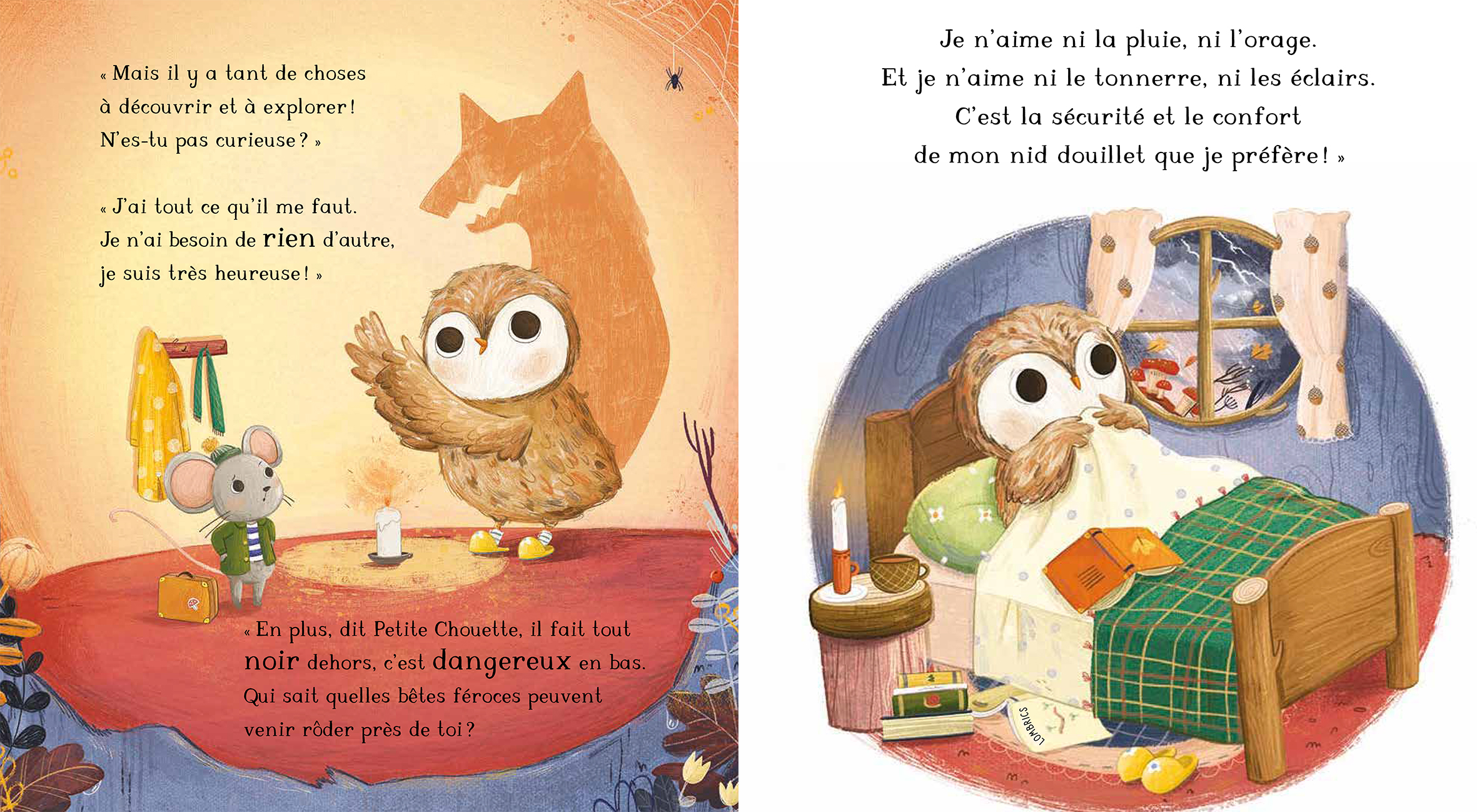 PETITE CHOUETTE NE QUITTE PAS SON NID 