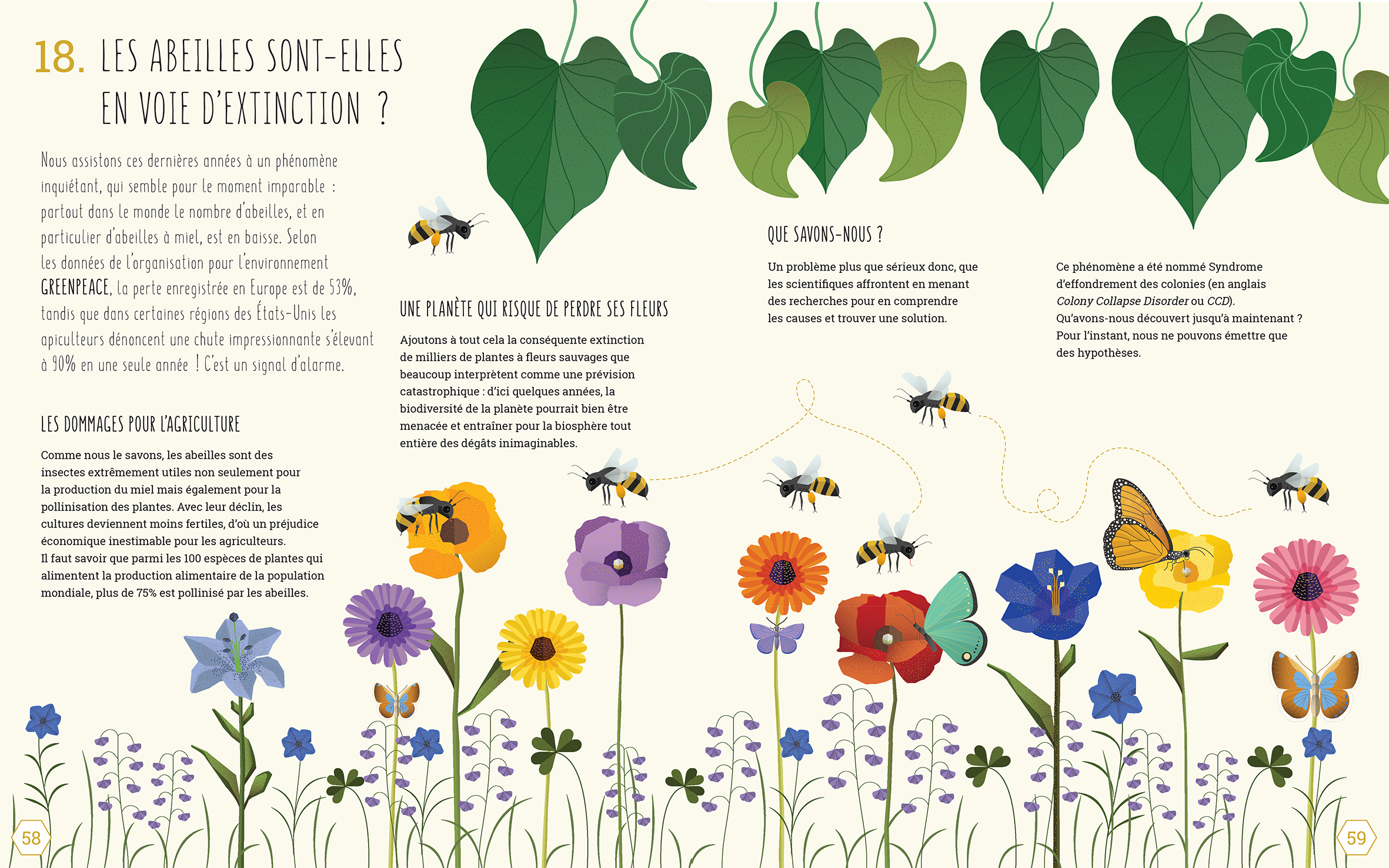 LE MONDE DES ABEILLES