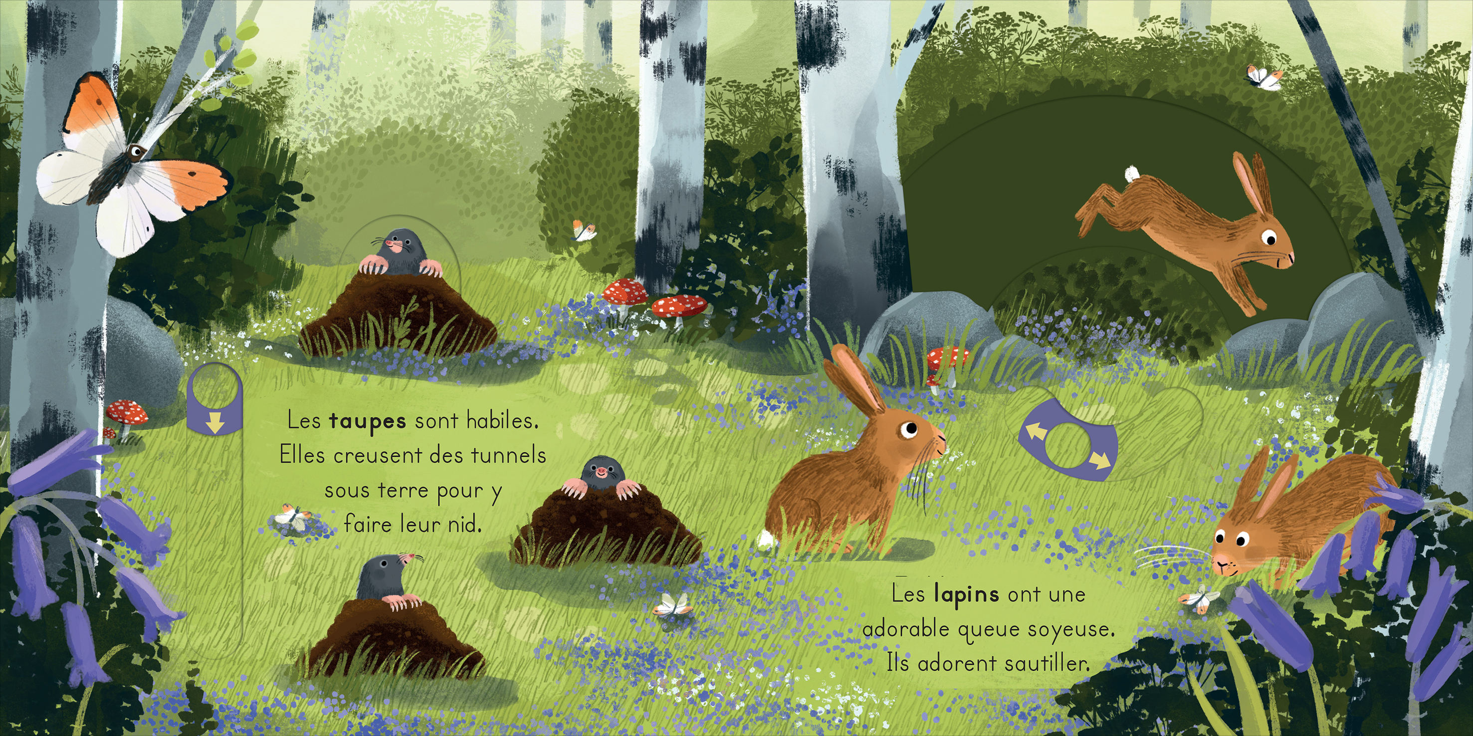 LA FORET