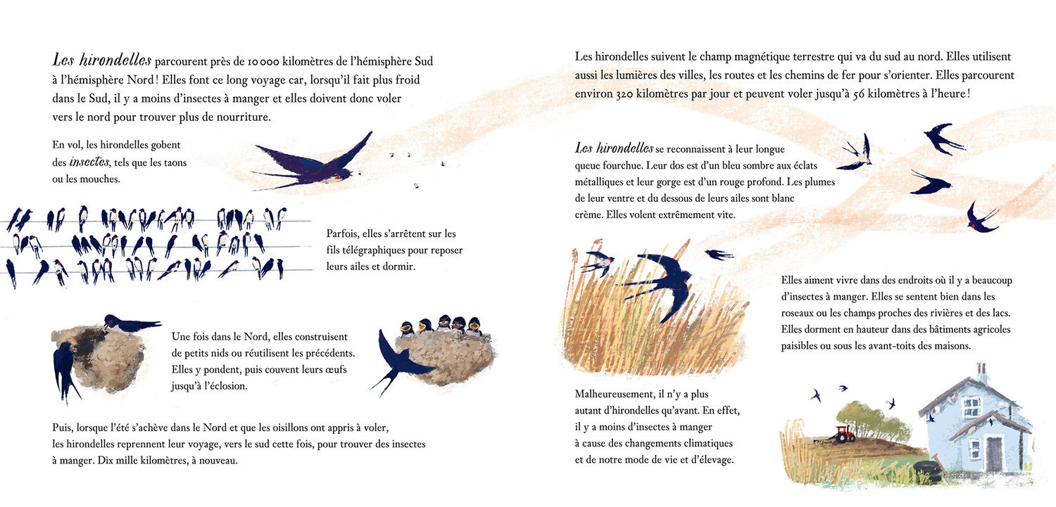COMME LES HIRONDELLES