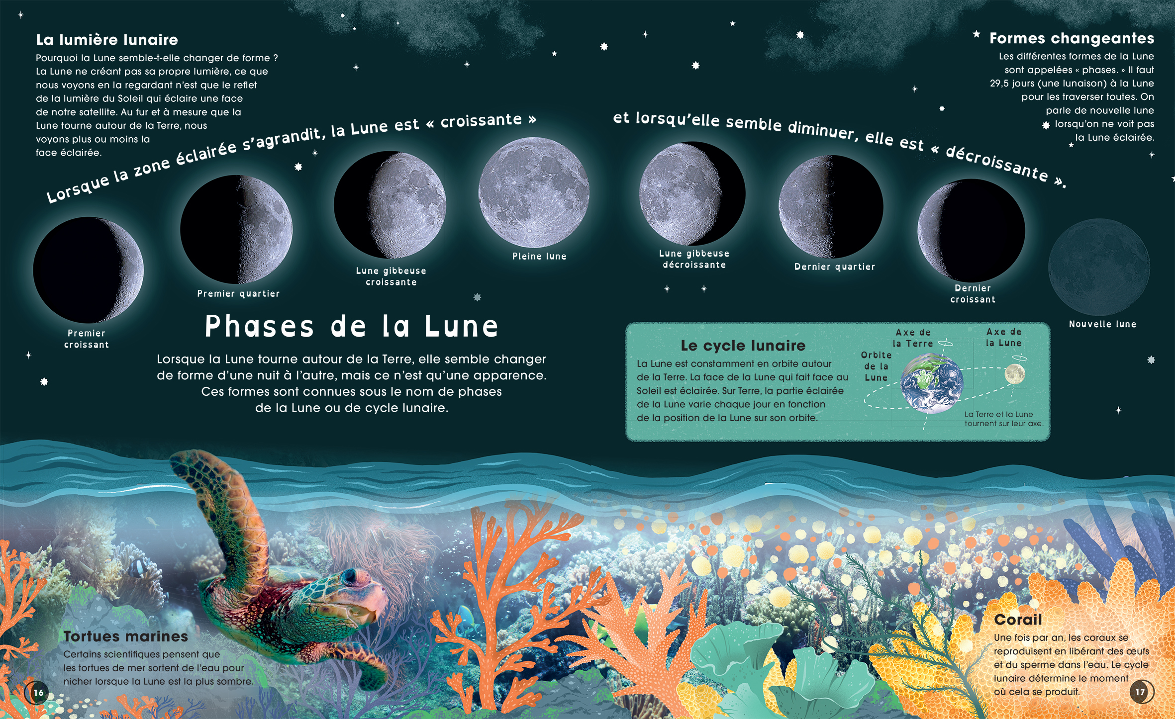 LA LUNE : DECOUVRE LES MYSTERES DE NOTRE PLUS PROCHE VOISINE LA LUNE : DECOUVRE LES MYSTERES DE NOTRE PLUS PROCHE VOISINE