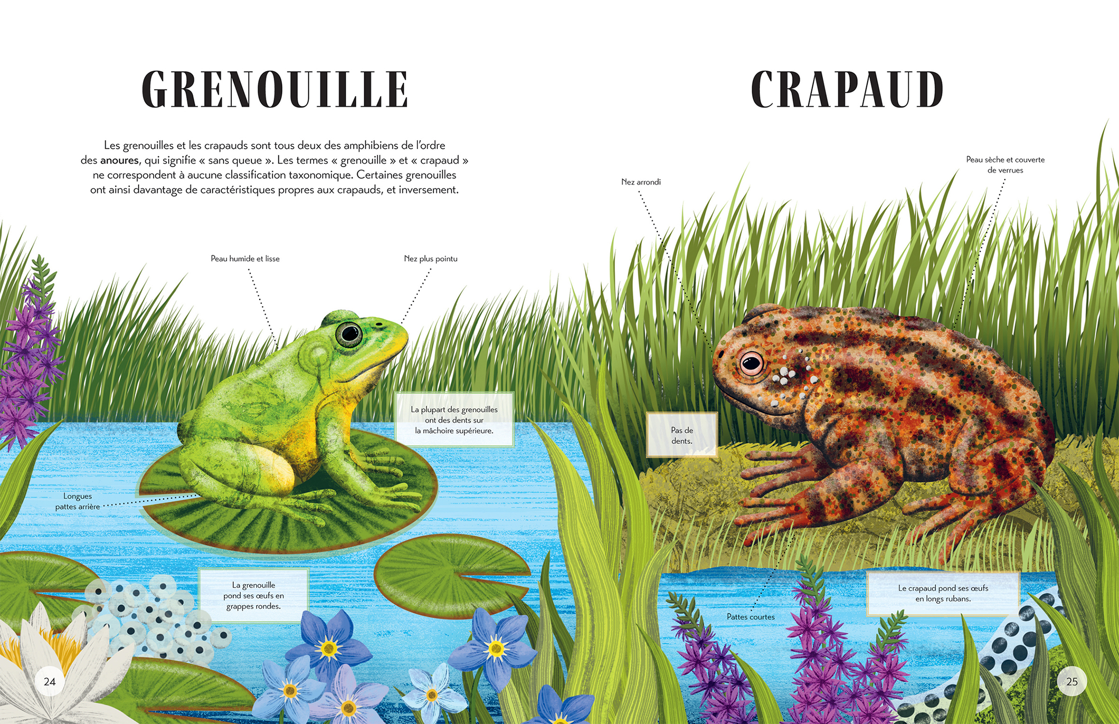 QUI EST QUI ? : DIFFERENCIE LES ANIMAUX QUI SE RESSEMBLENT