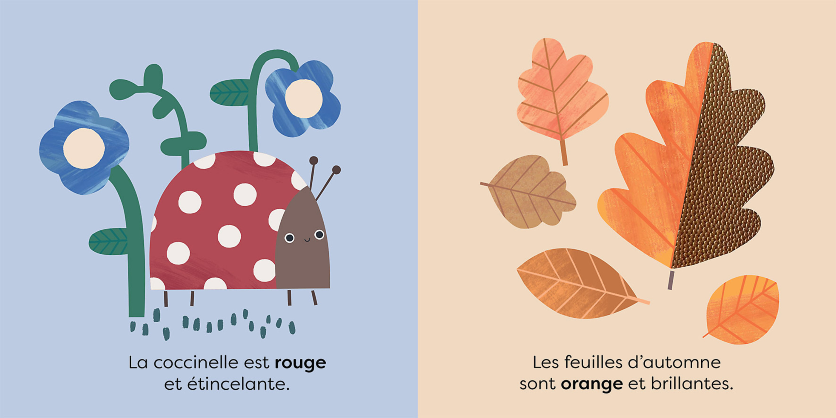 TOUCHE ET DECOUVRE LA NATURE : A LA DECOUVERTE DES COULEURS