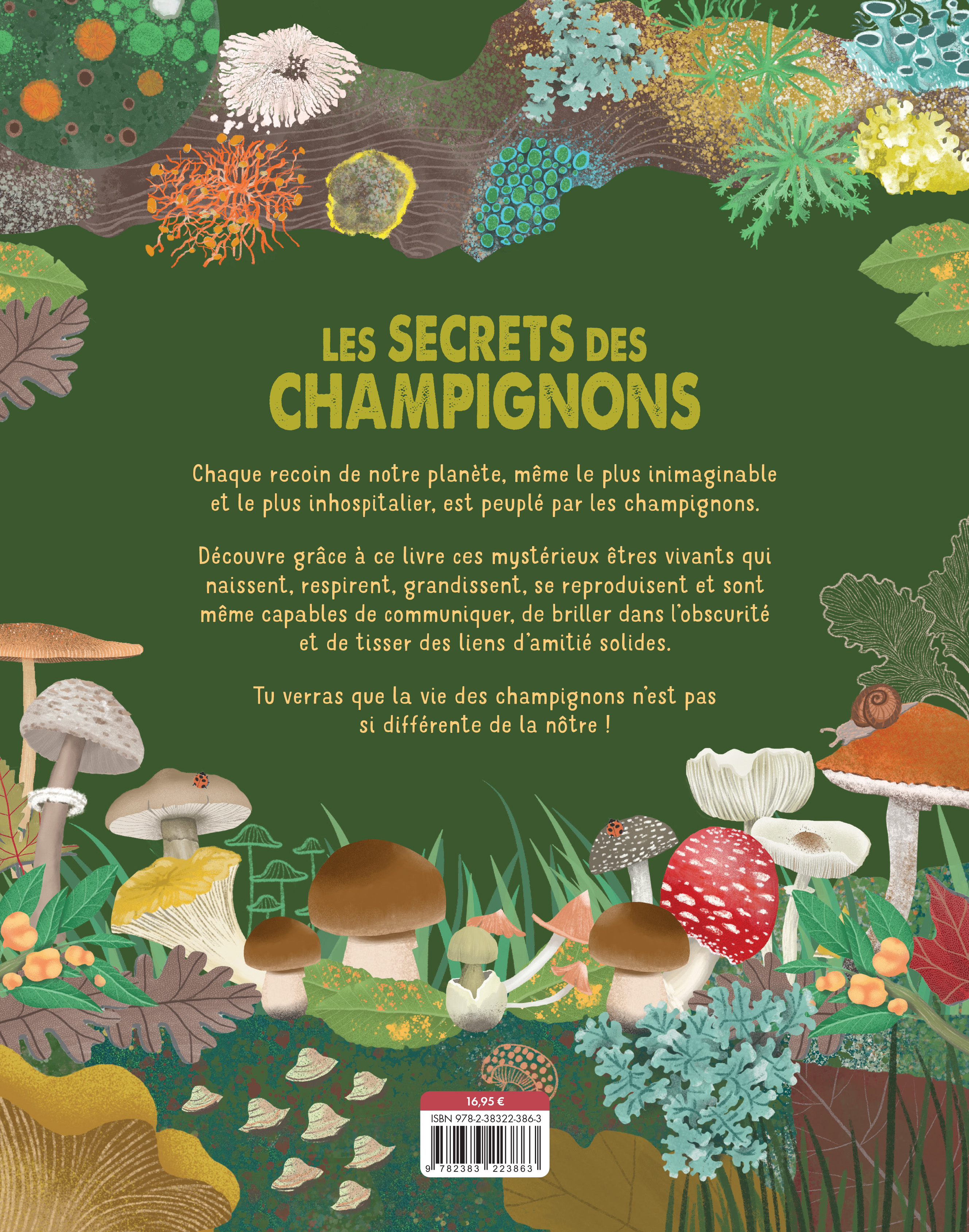 LE SECRET DES CHAMPIGNONS LE SECRET DES CHAMPIGNONS
