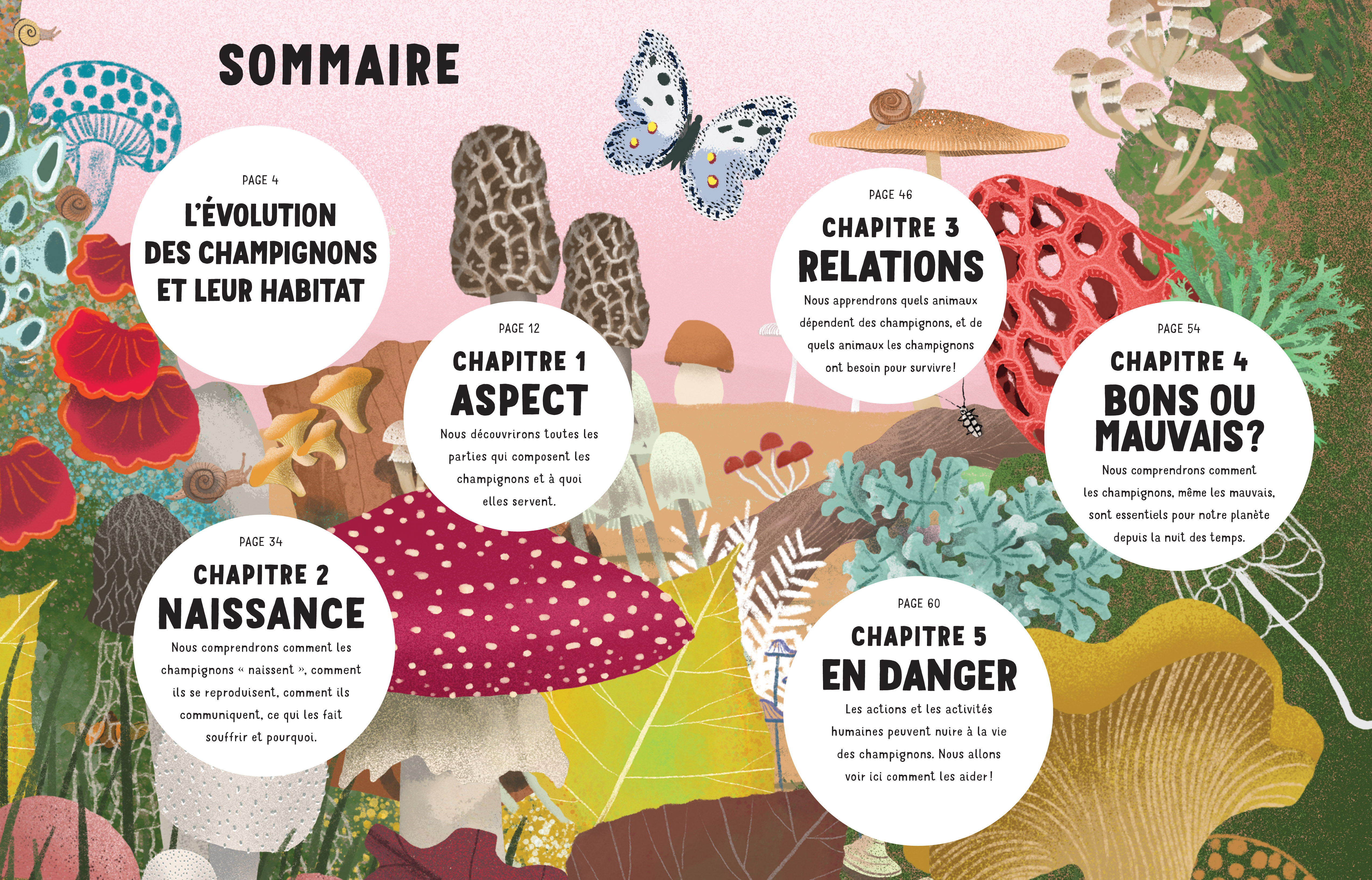 LE SECRET DES CHAMPIGNONS LE SECRET DES CHAMPIGNONS