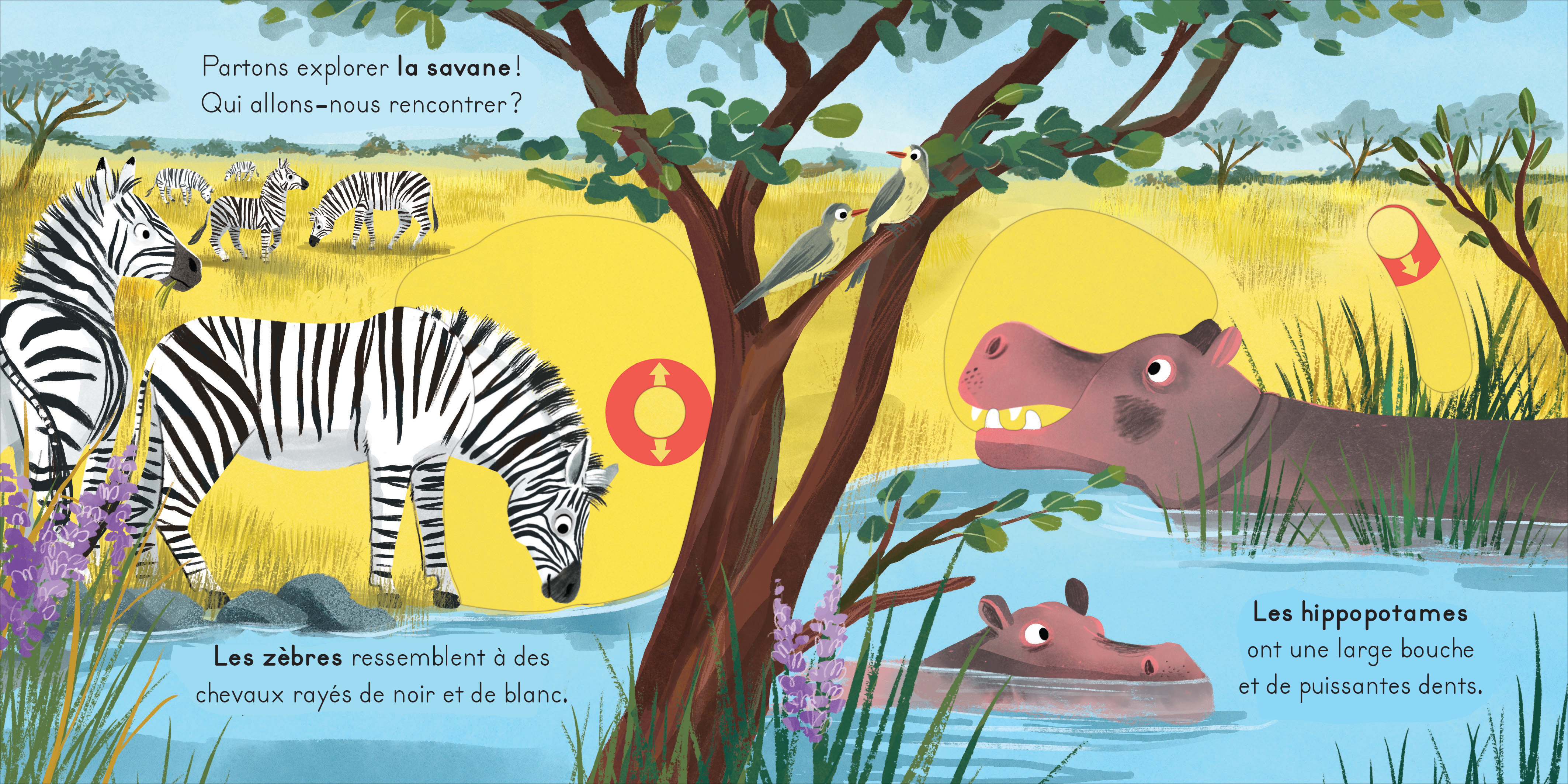 LA SAVANE - AVEC DES TIRETTES A CHAQUE PAGE !