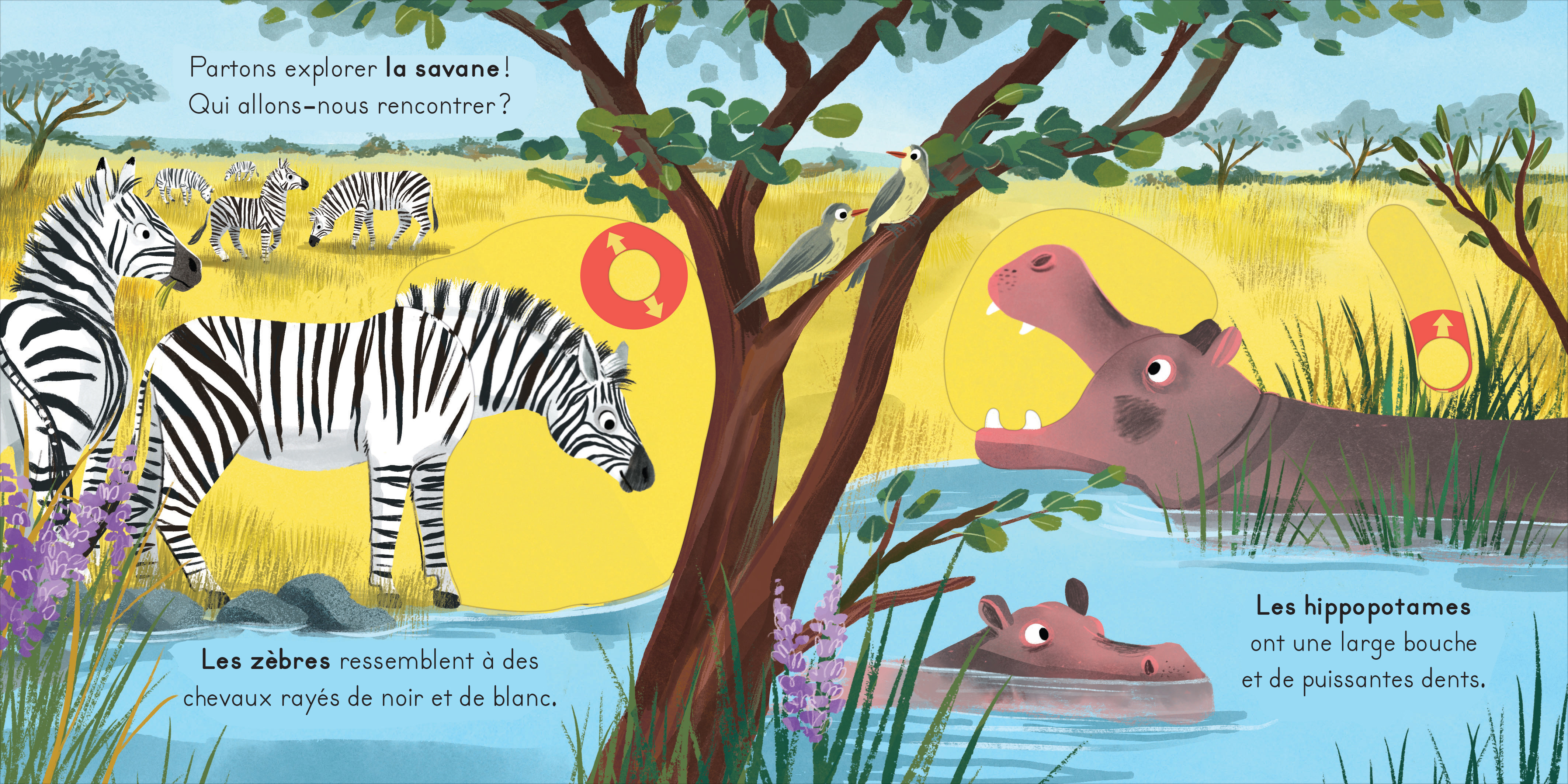 LA SAVANE - AVEC DES TIRETTES A CHAQUE PAGE !