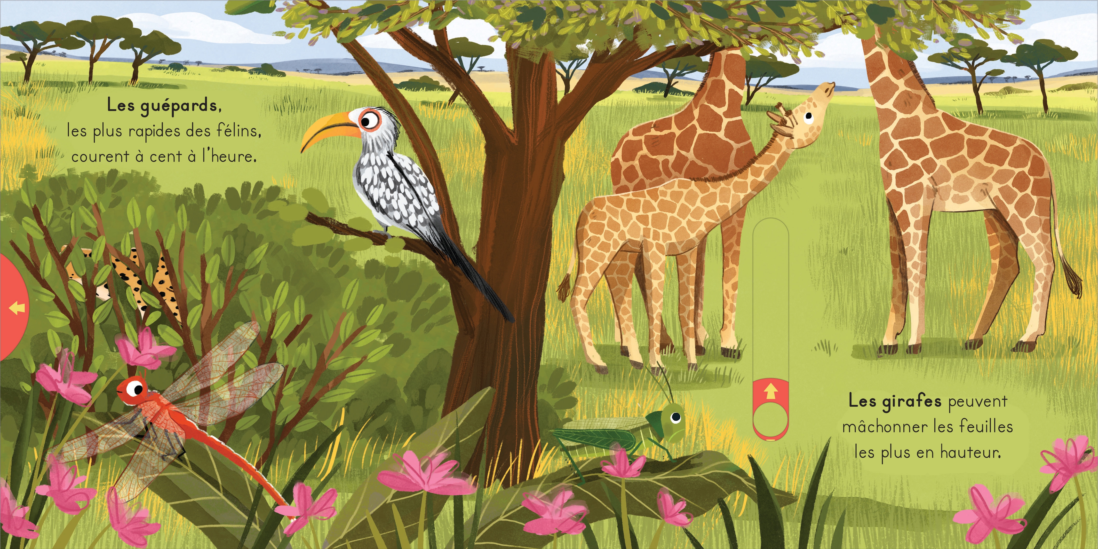 LA SAVANE - AVEC DES TIRETTES A CHAQUE PAGE !