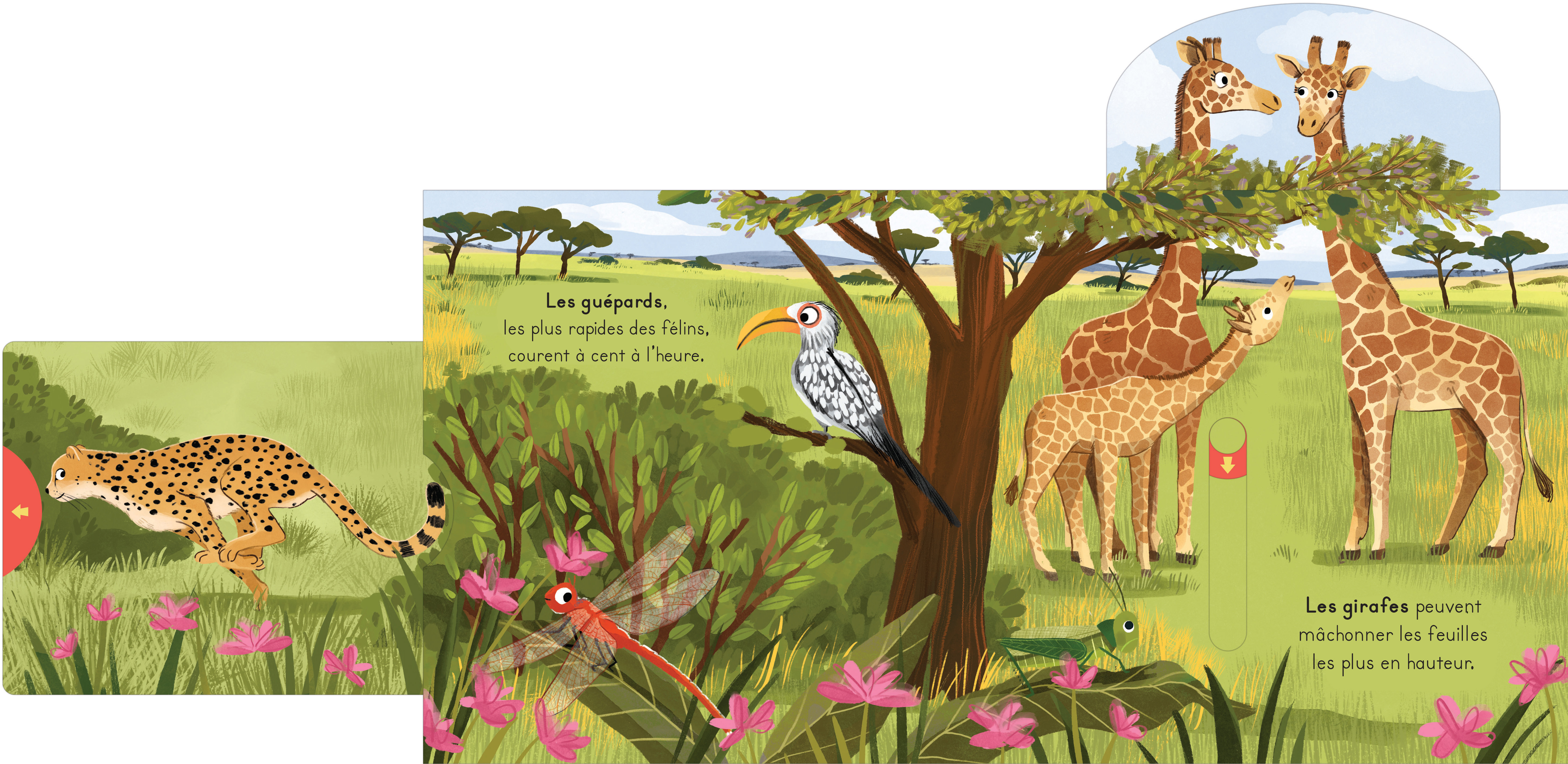 LA SAVANE - AVEC DES TIRETTES A CHAQUE PAGE !