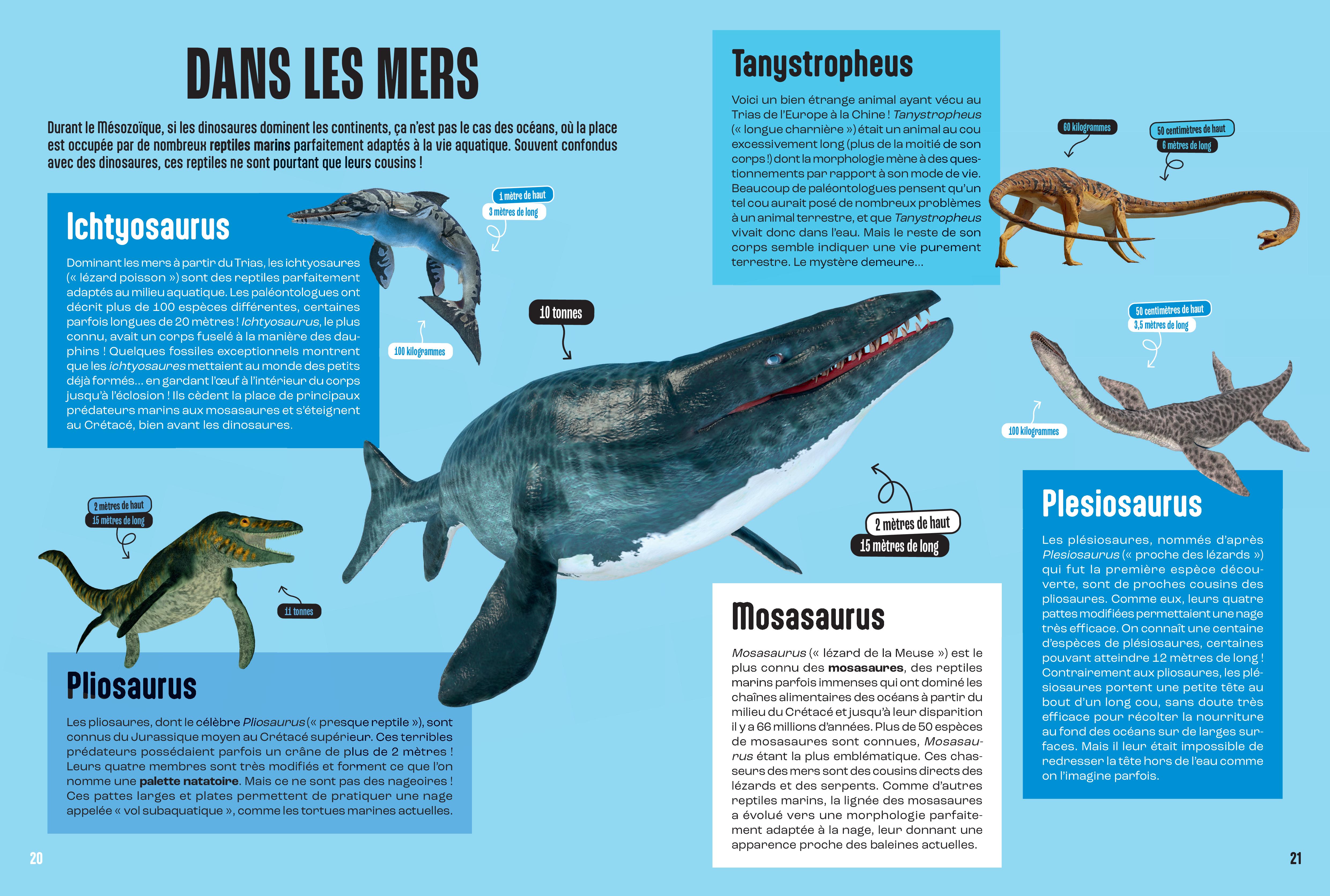 LES DINOSAURES