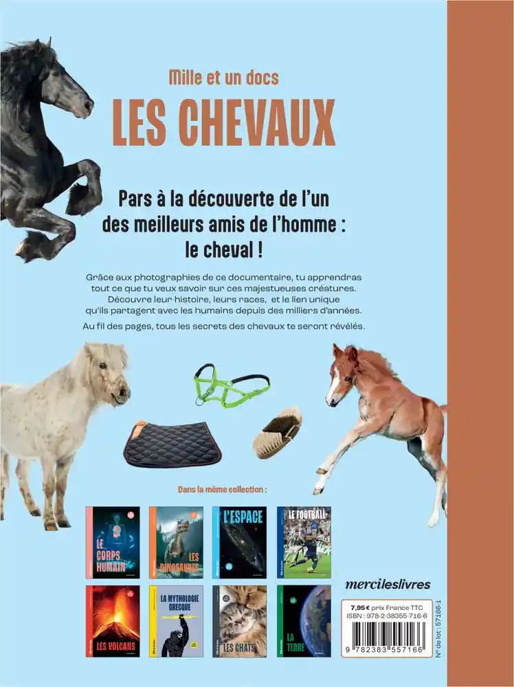 LES CHEVAUX