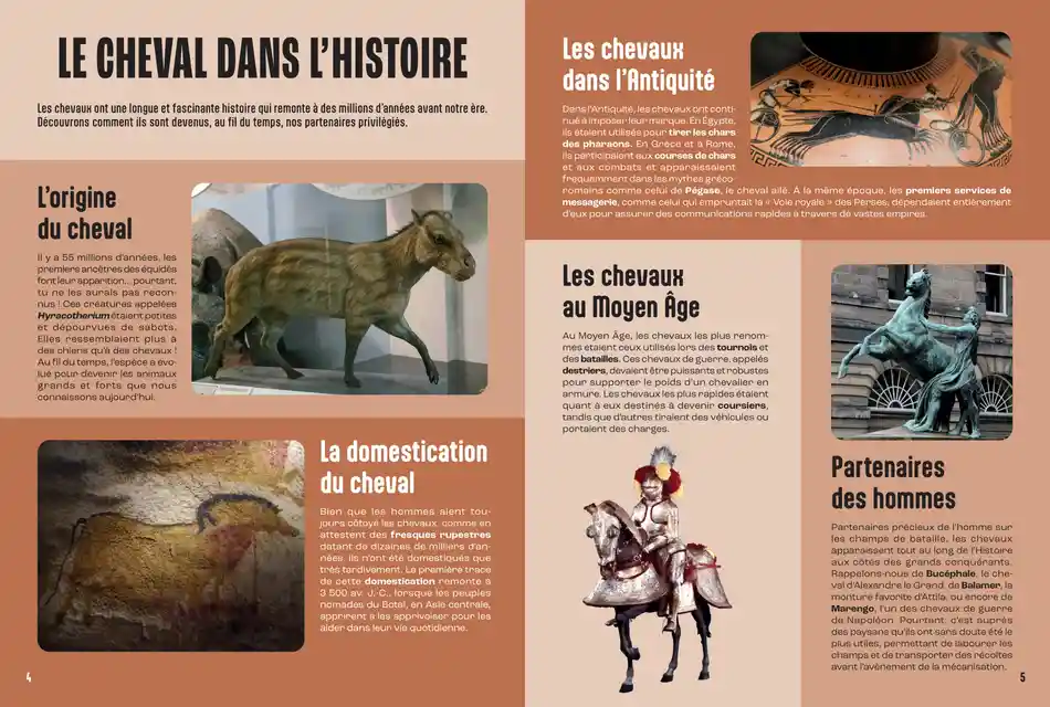 LES CHEVAUX
