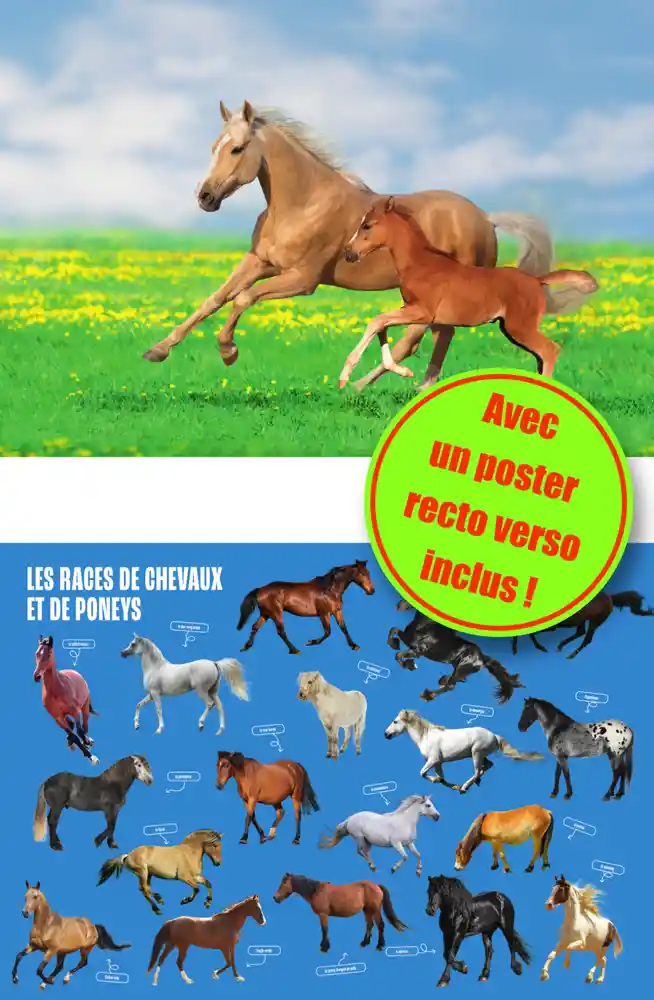 LES CHEVAUX