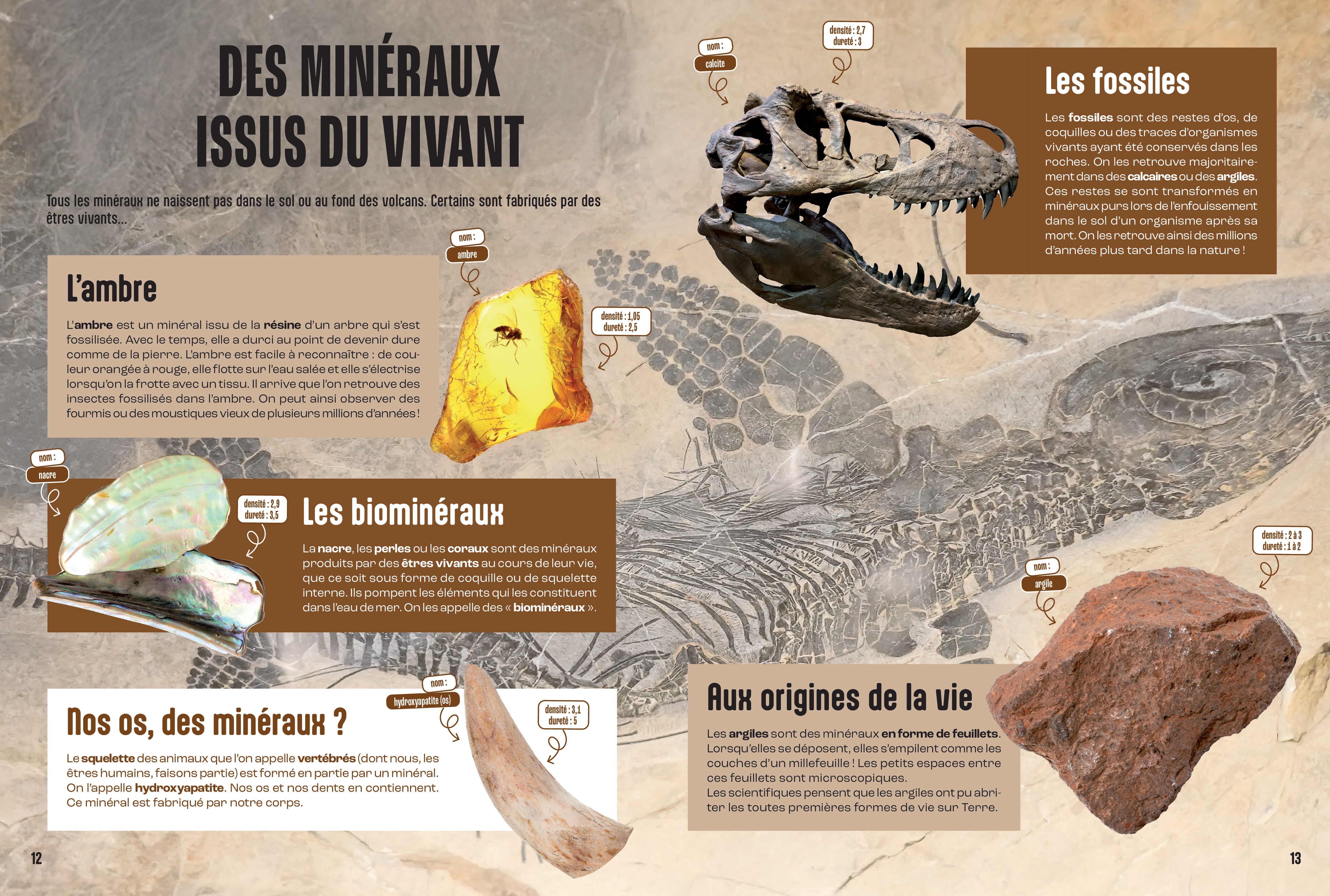 LES MINERAUX - MILLE ET UN DOCS