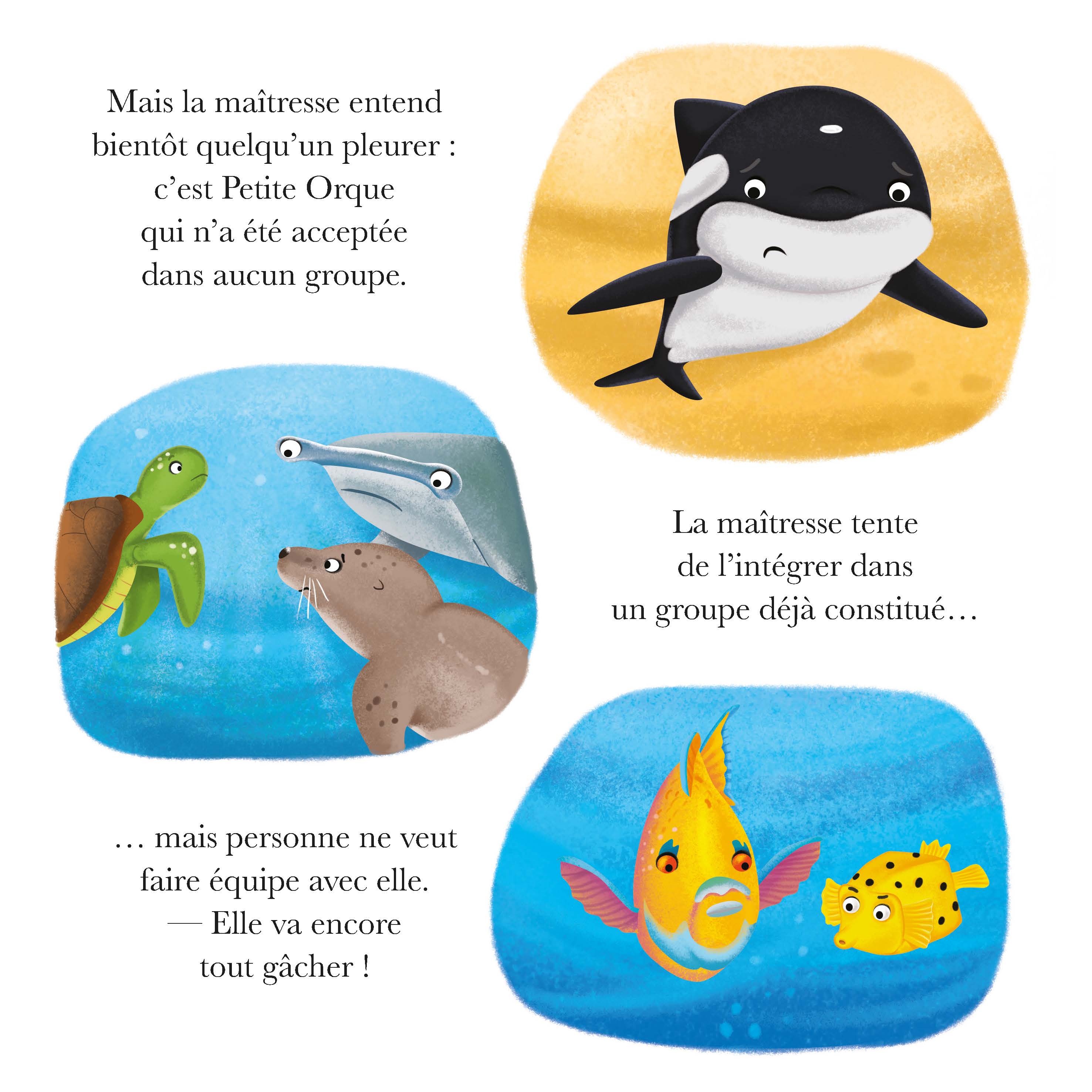 PETITE ORQUE N