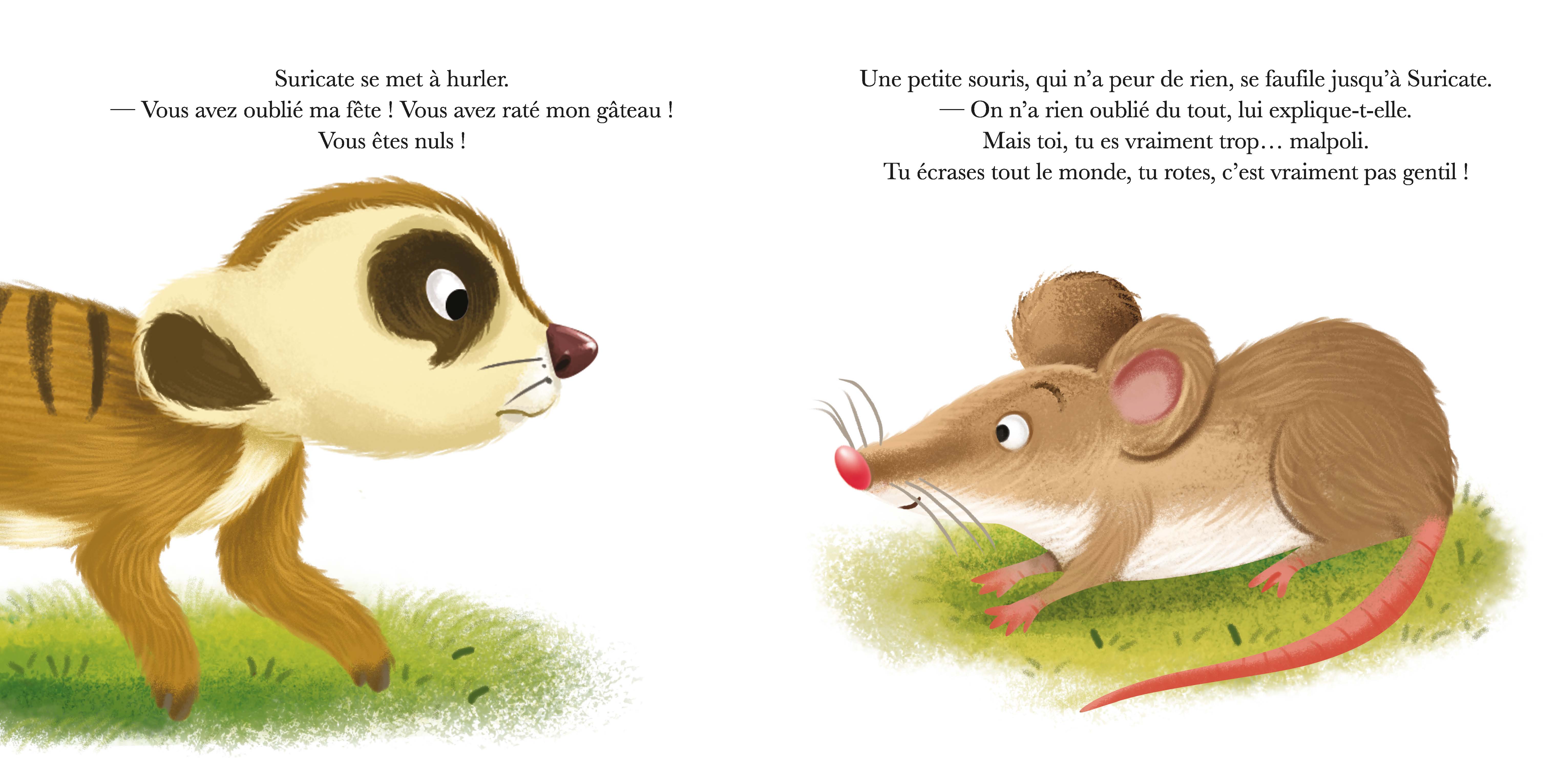 SURICATE N