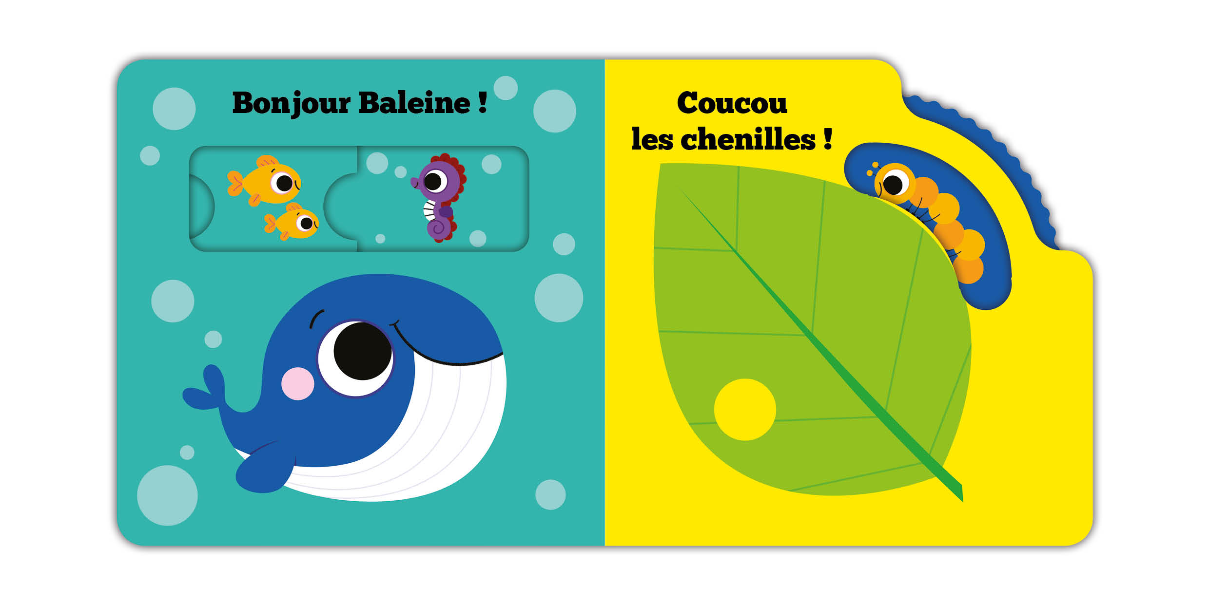 BONJOUR PETIT OURS !