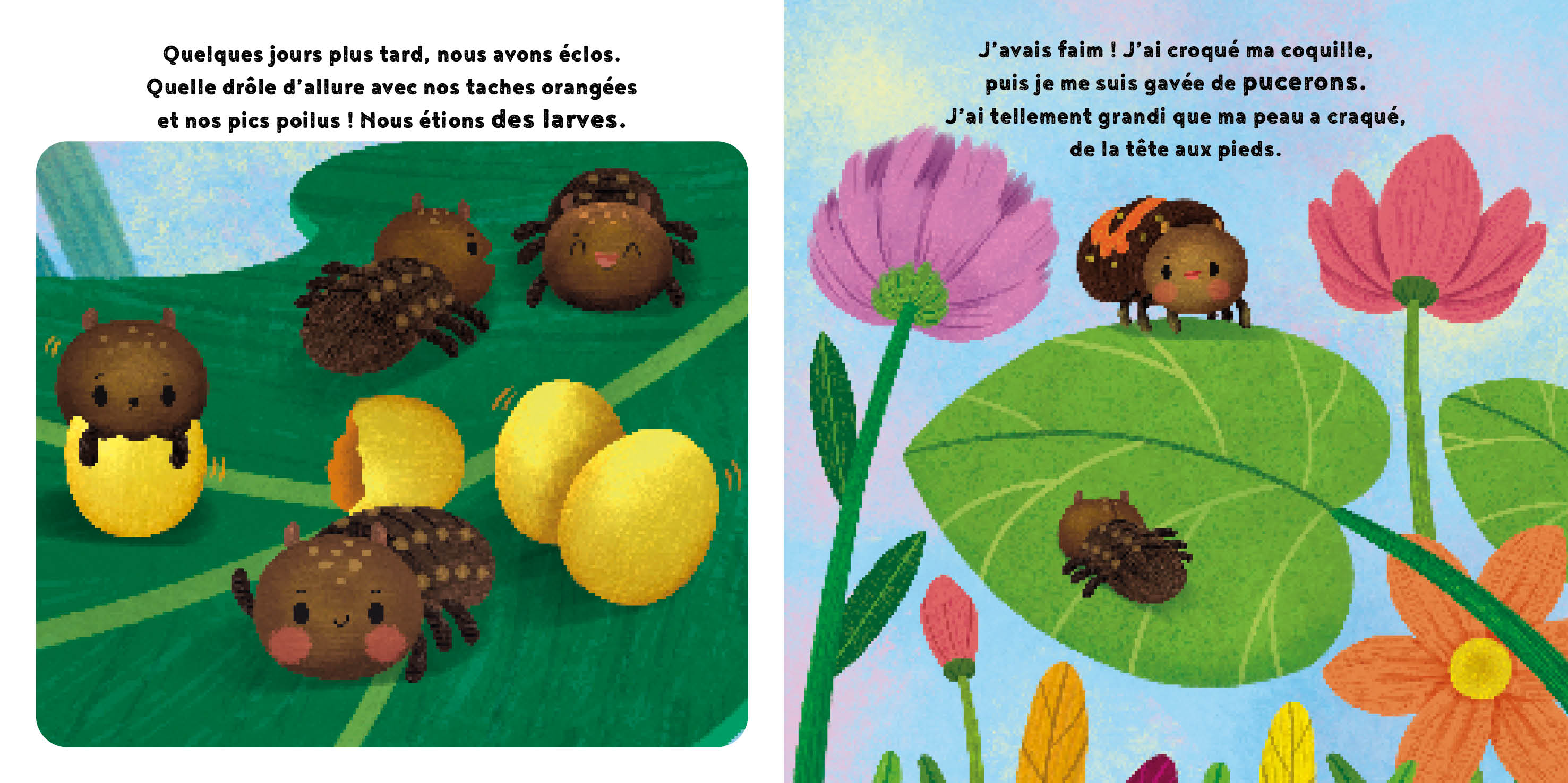 LA PETITE COCCINELLE