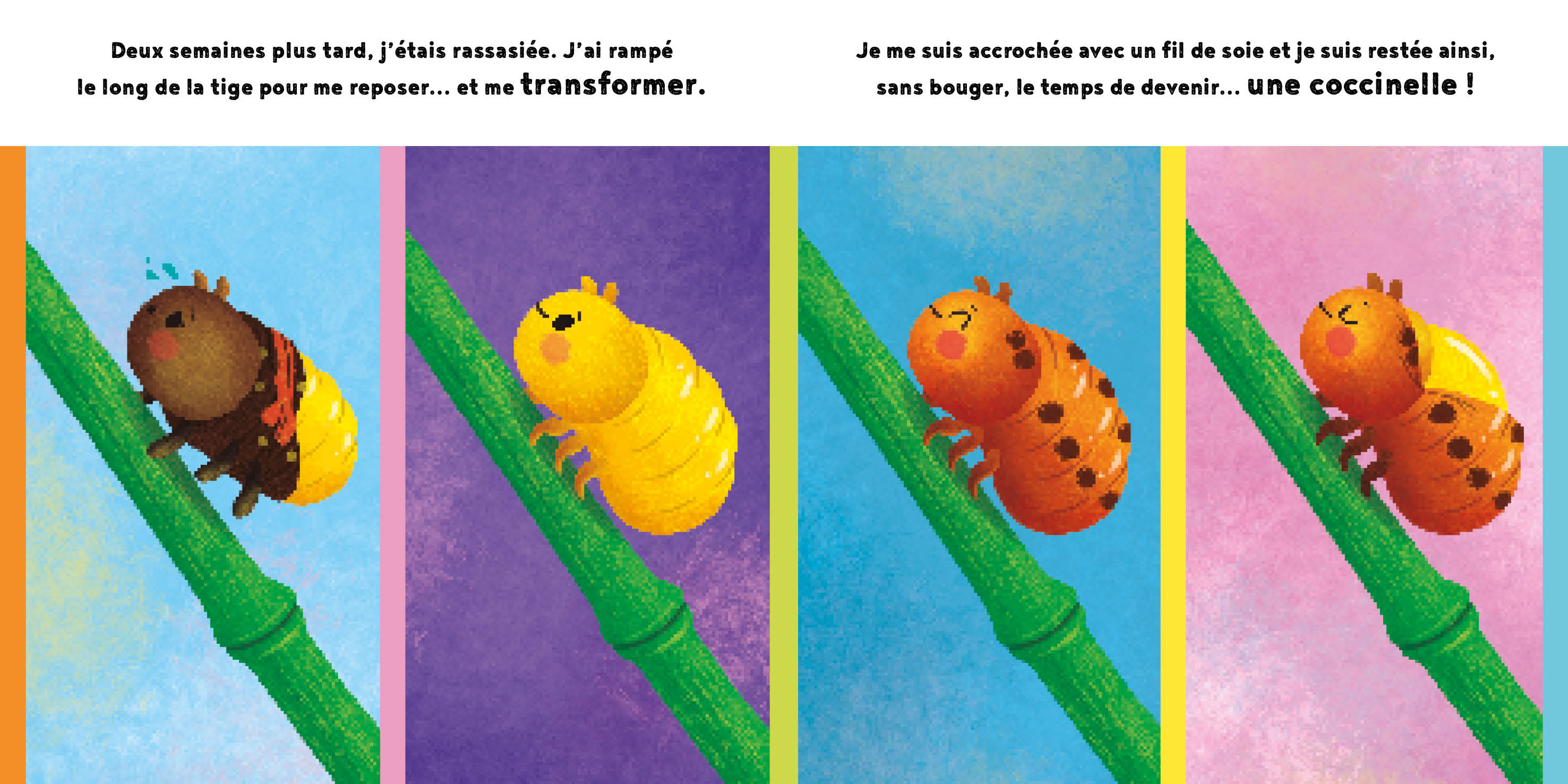 LA PETITE COCCINELLE