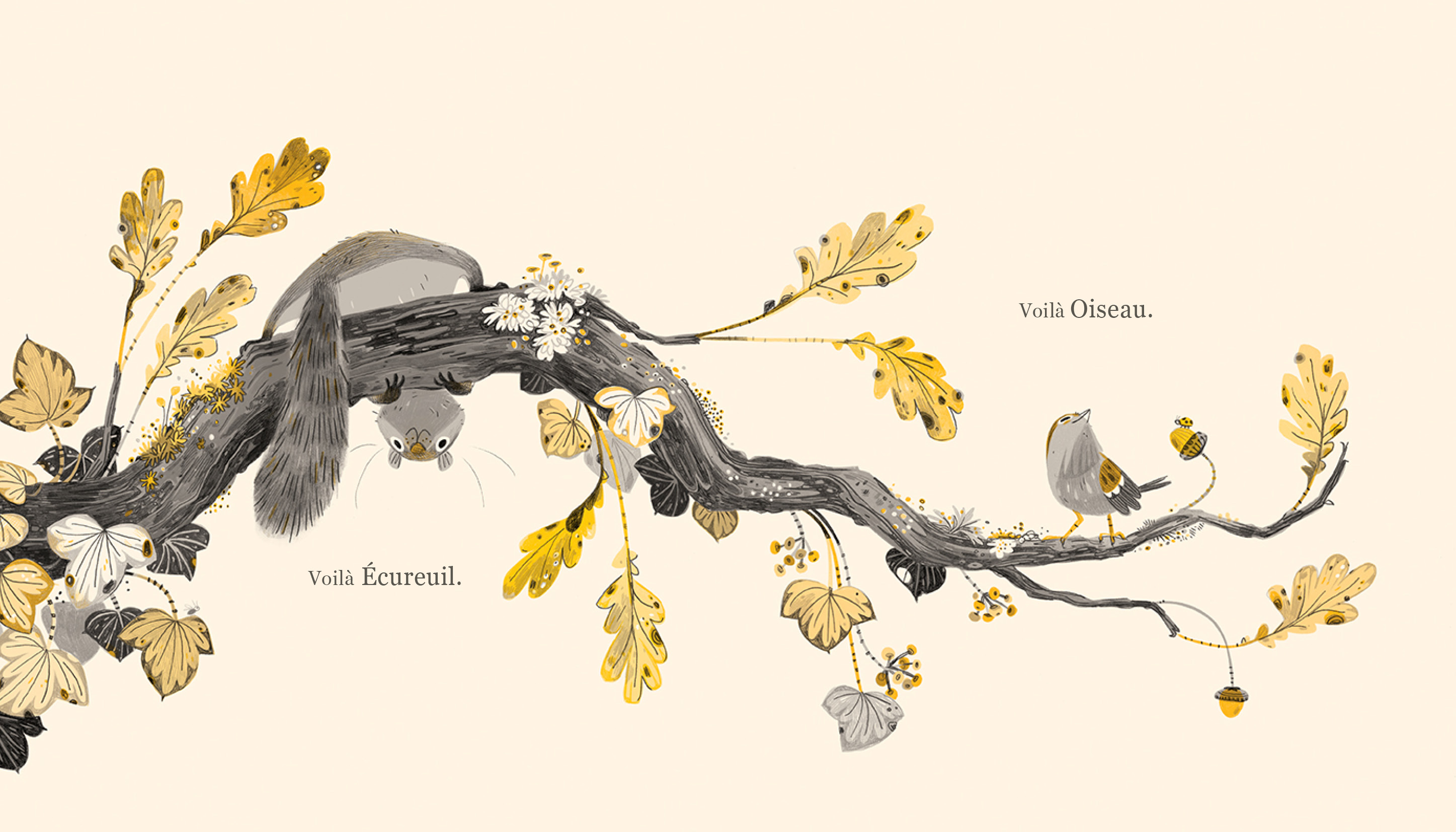 ECUREUIL ET OISEAU