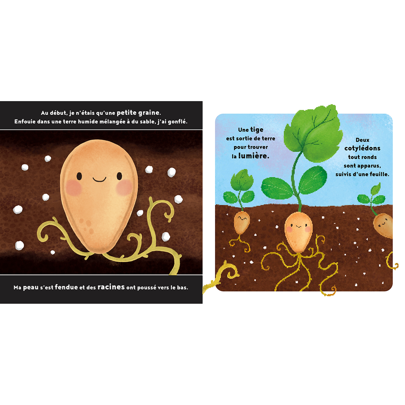 LA PETITE CITROUILLE