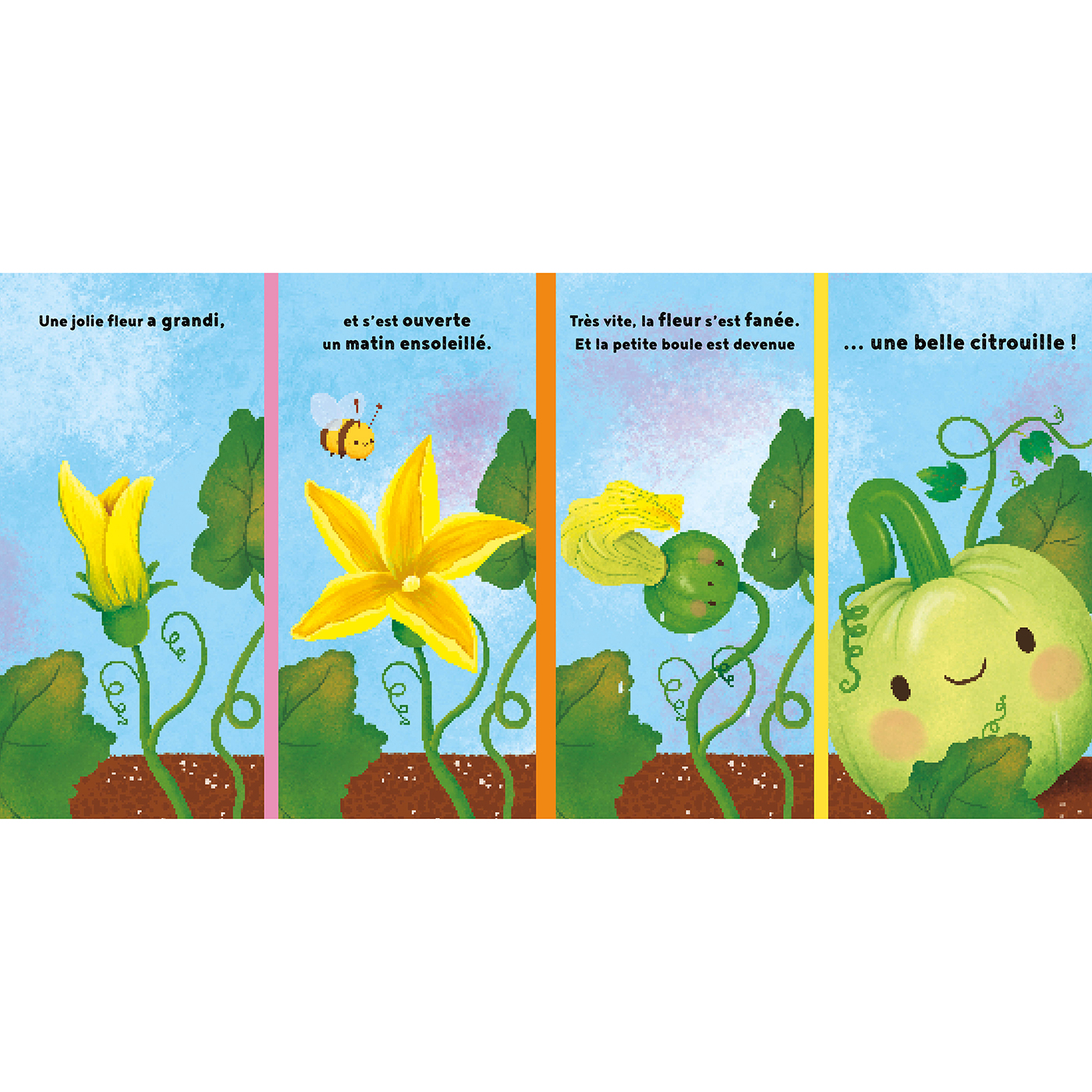 LA PETITE CITROUILLE