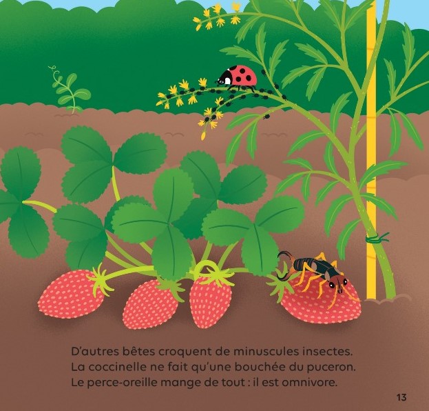 LES PETITES BETES