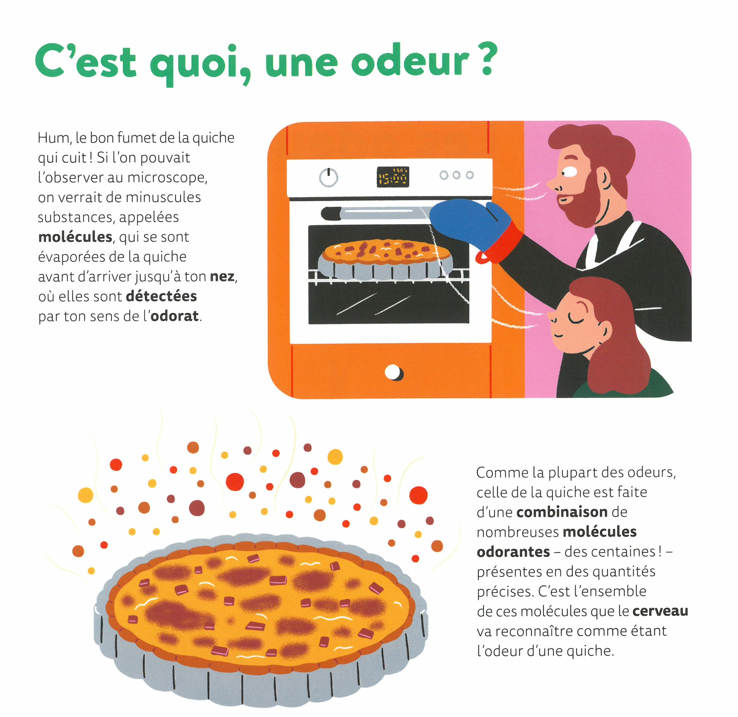 LES ODEURS