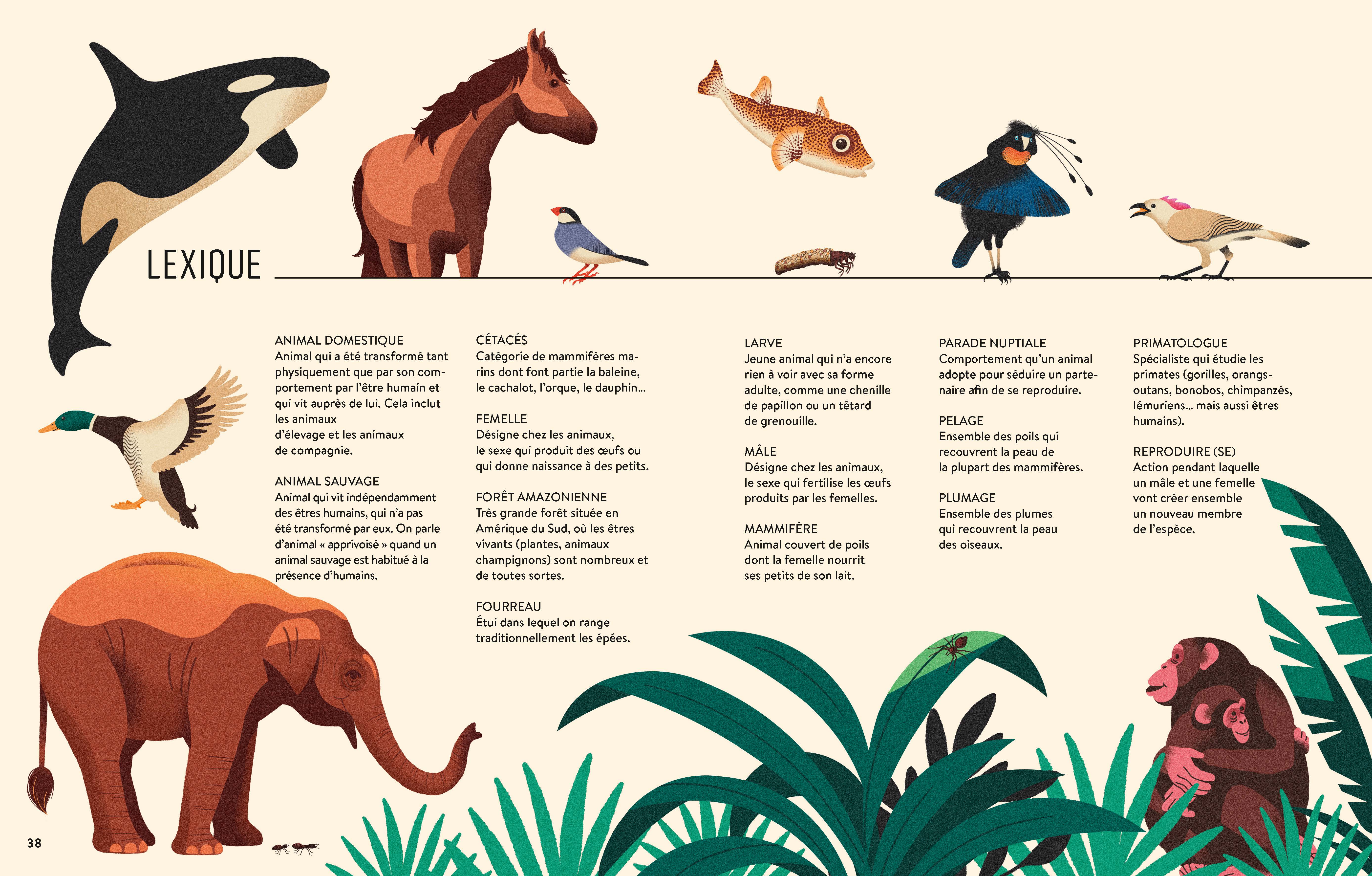 LES ANIMAUX ARTISTES