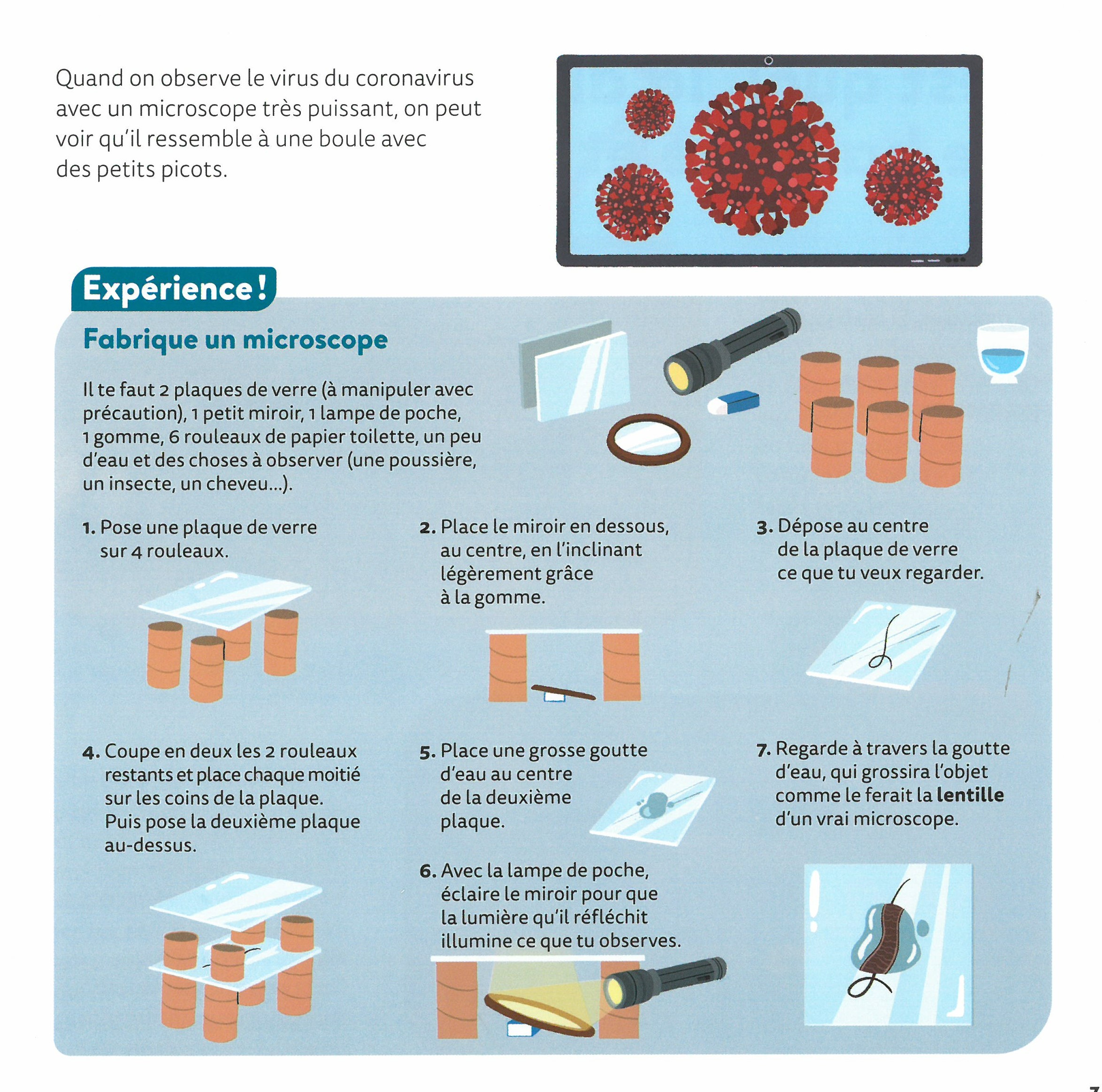 LES MICROBES