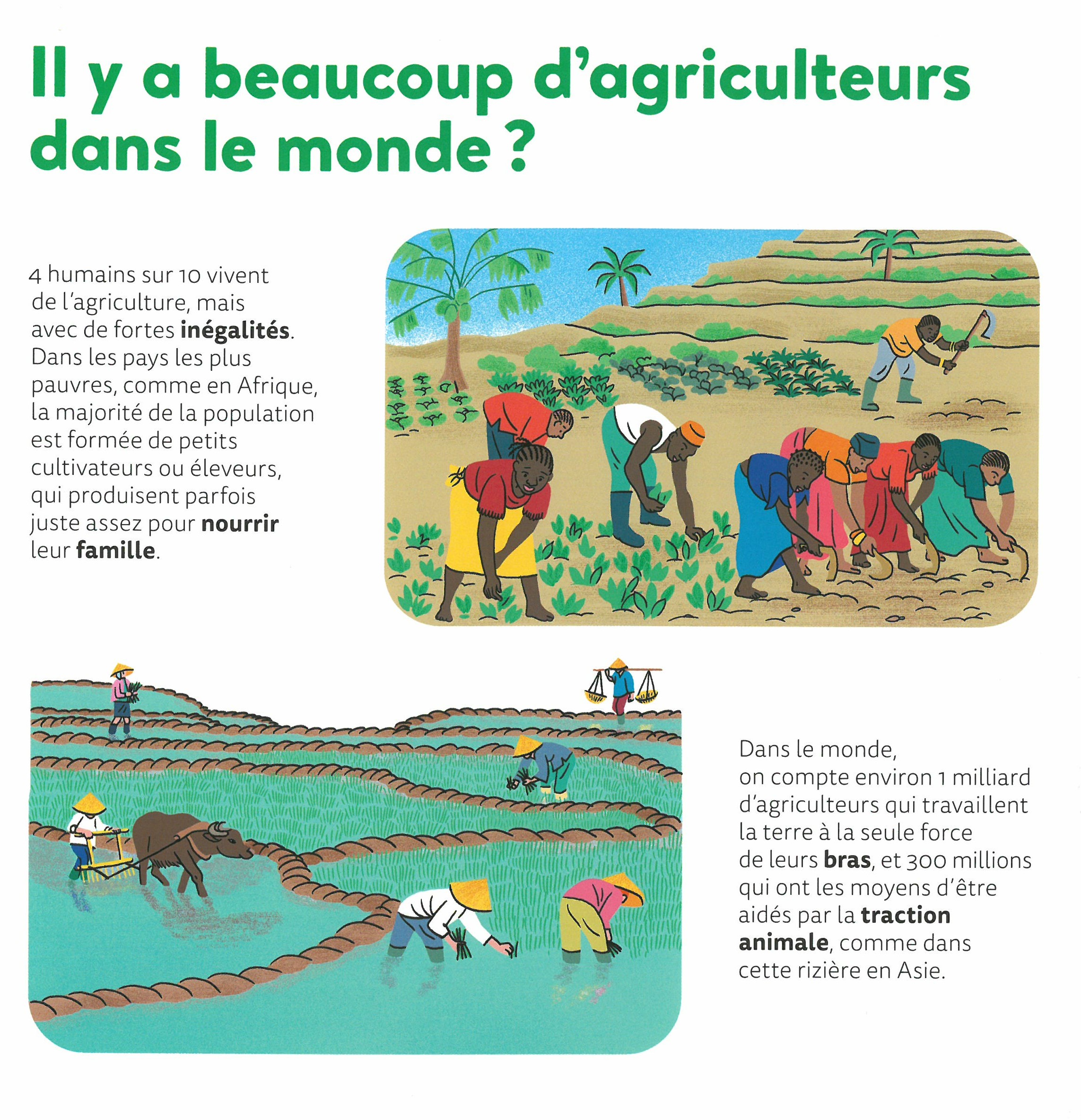 LES AGRICULTEURS