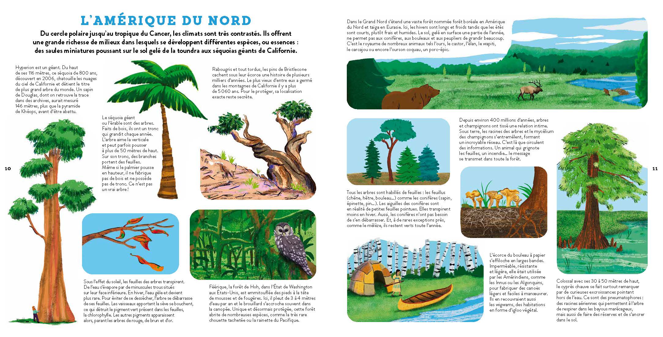 MON ATLAS DES ARBRES