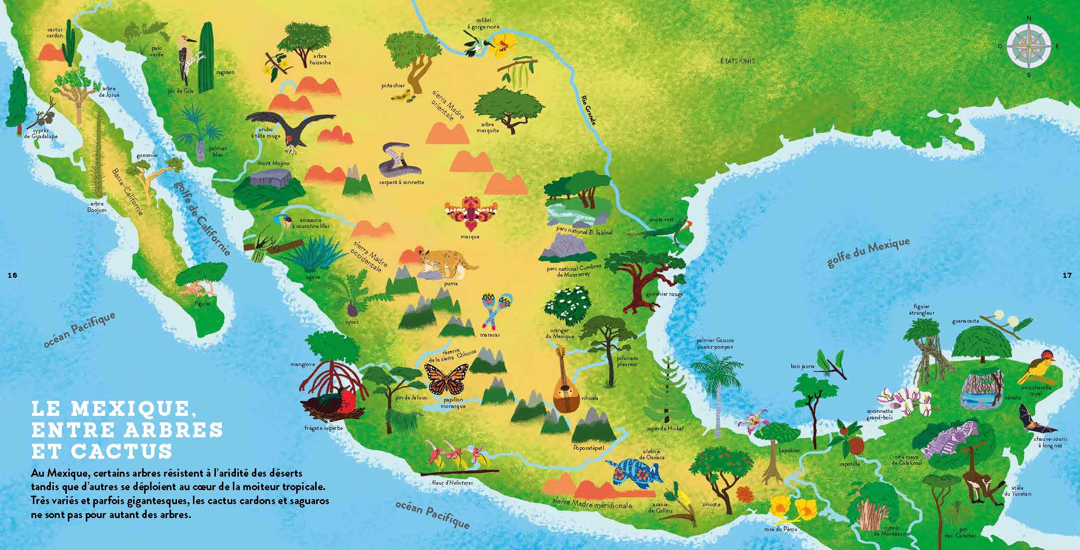 MON ATLAS DES ARBRES