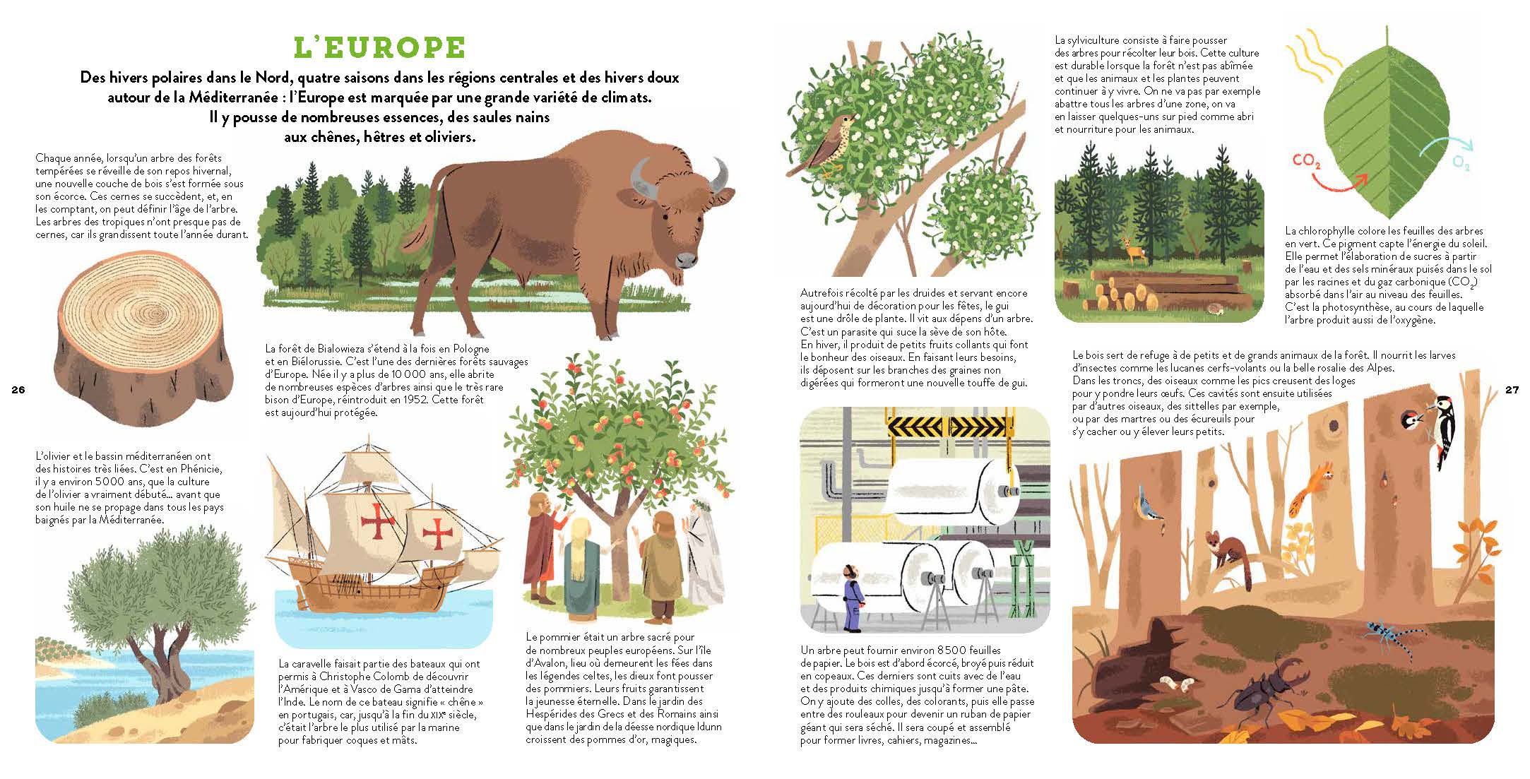 MON ATLAS DES ARBRES