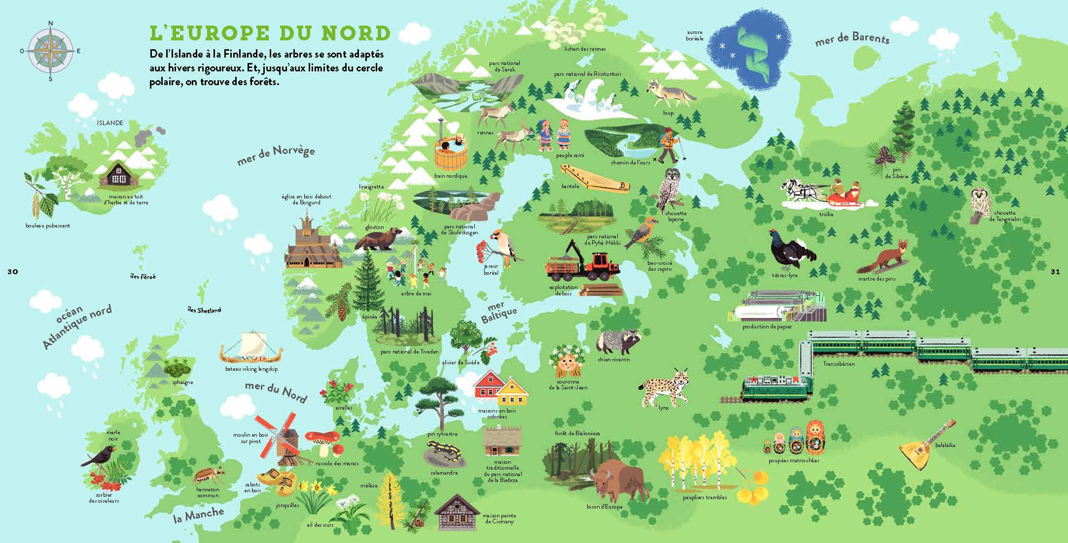 MON ATLAS DES ARBRES