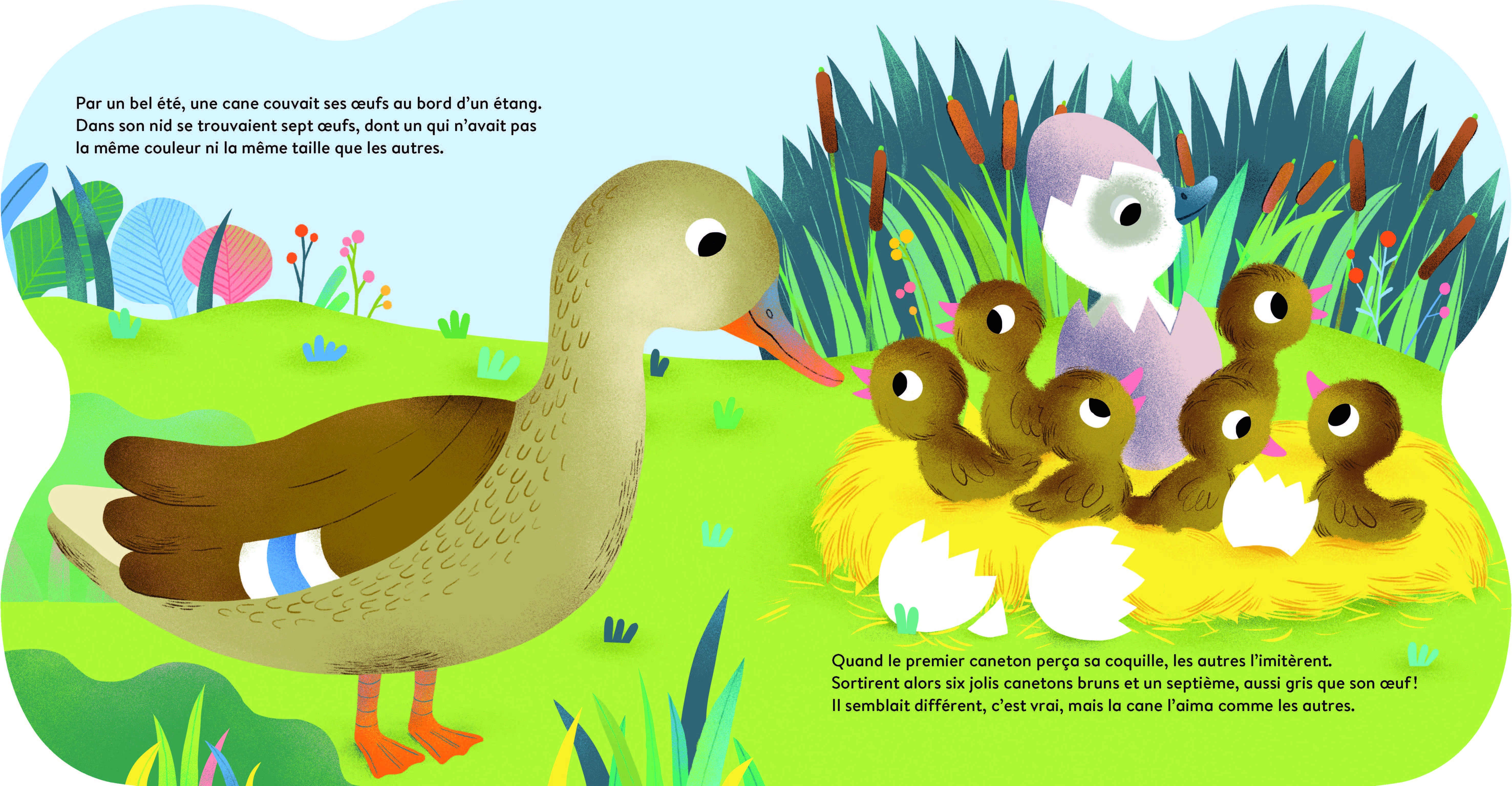 LE VILAIN PETIT CANARD