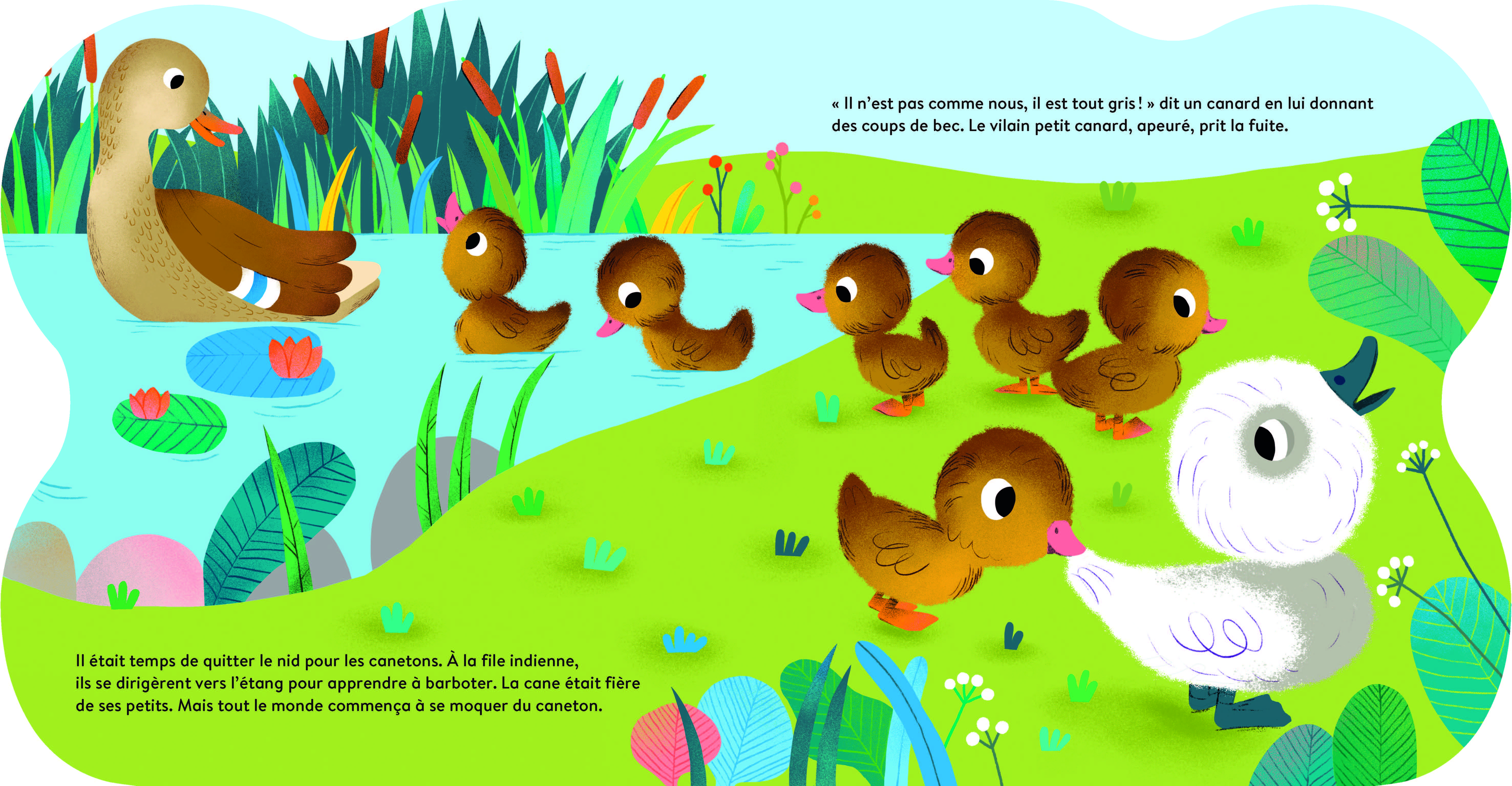 LE VILAIN PETIT CANARD