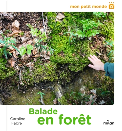 BALADE EN FORET
