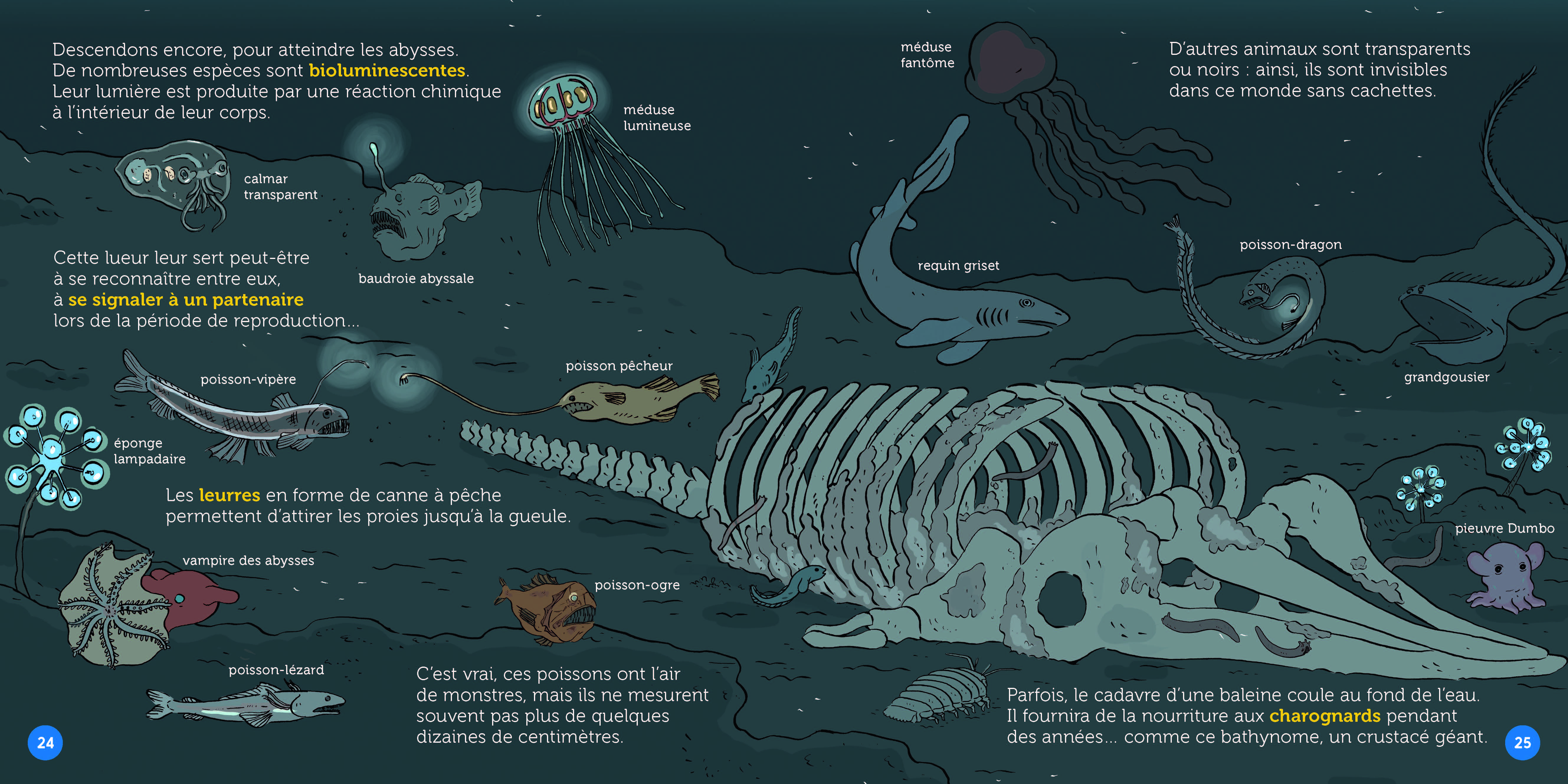 LES ABYSSES : A LA CONQUETE DES GRANDS FONDS