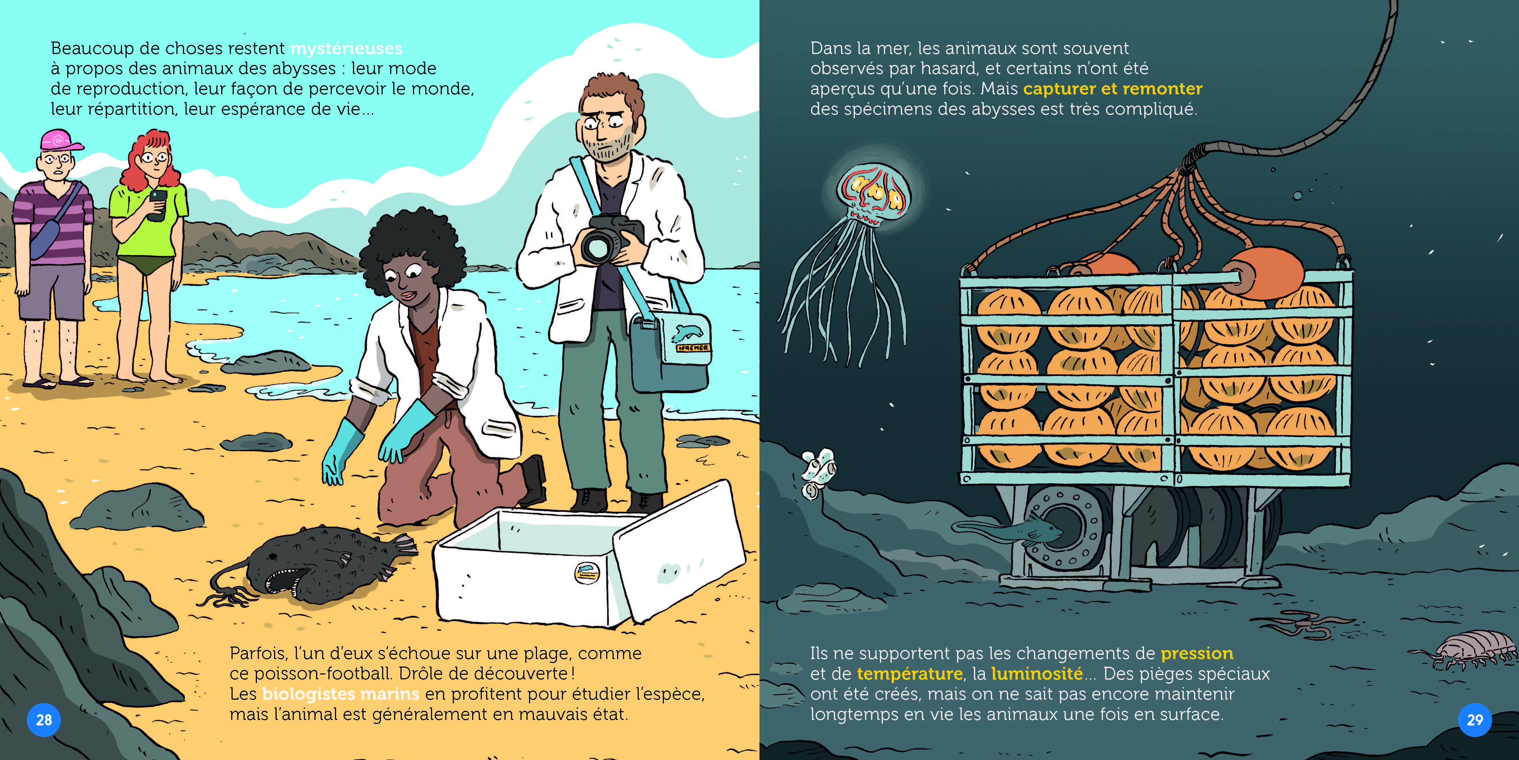 LES ABYSSES : A LA CONQUETE DES GRANDS FONDS