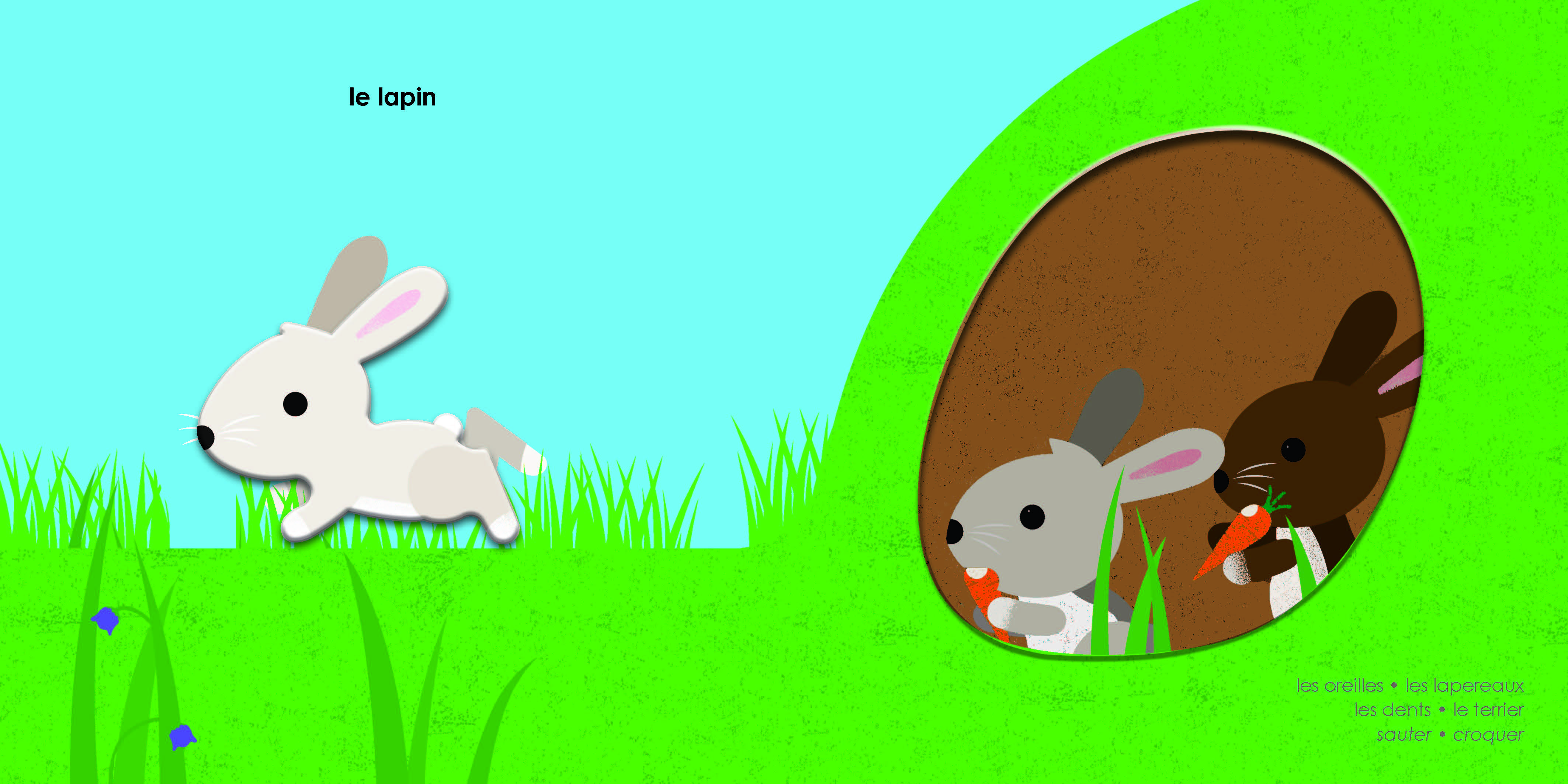 MES ANIMAUX DU JARDIN